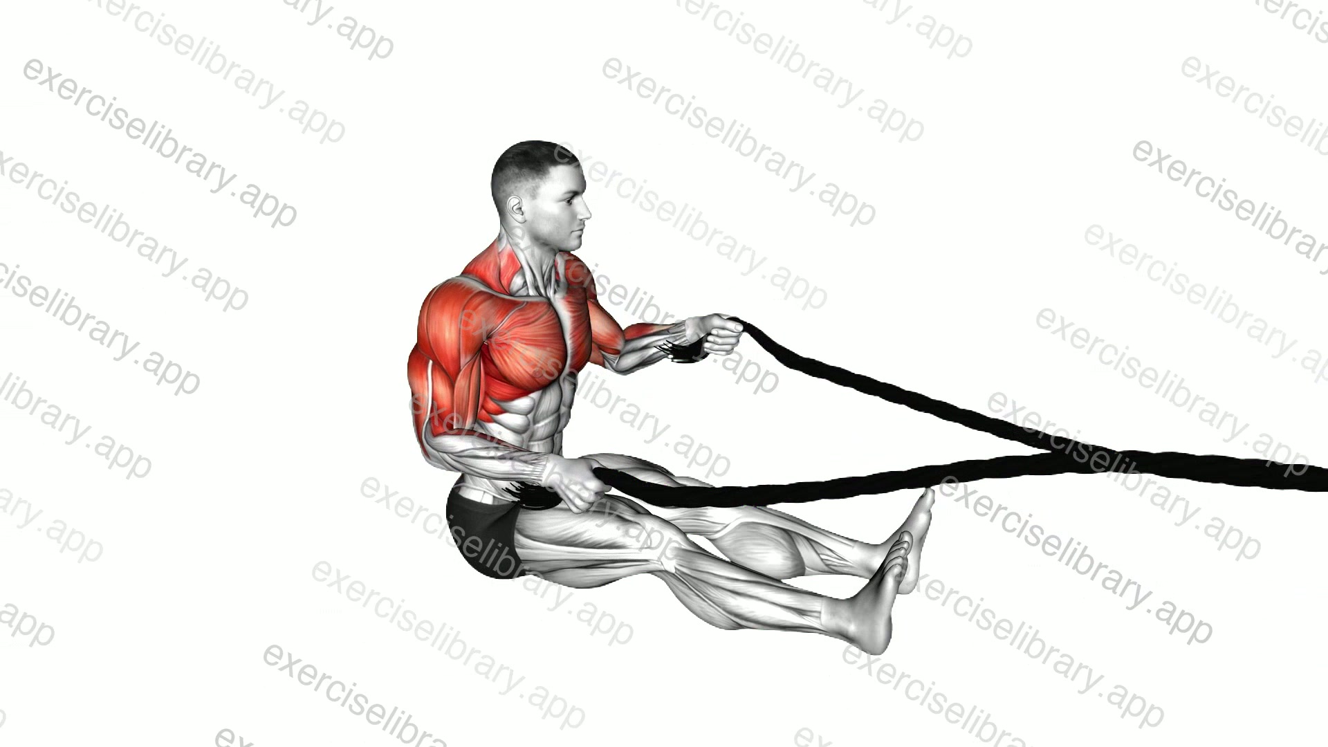 Battling Ropes Seated demonstration