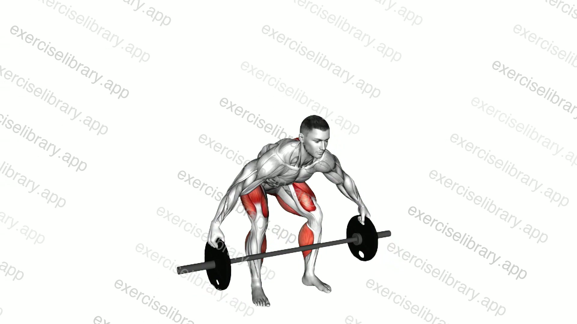 Barbell Reeves Deadlift demonstration
