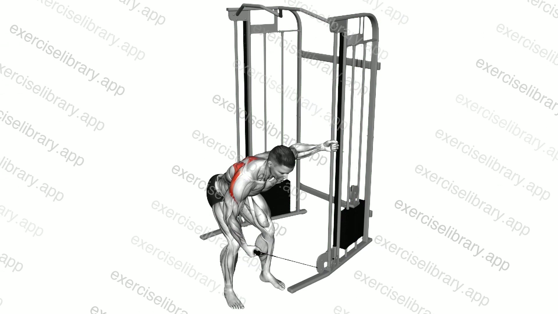 Cable One Arm Reverse Fly demonstration