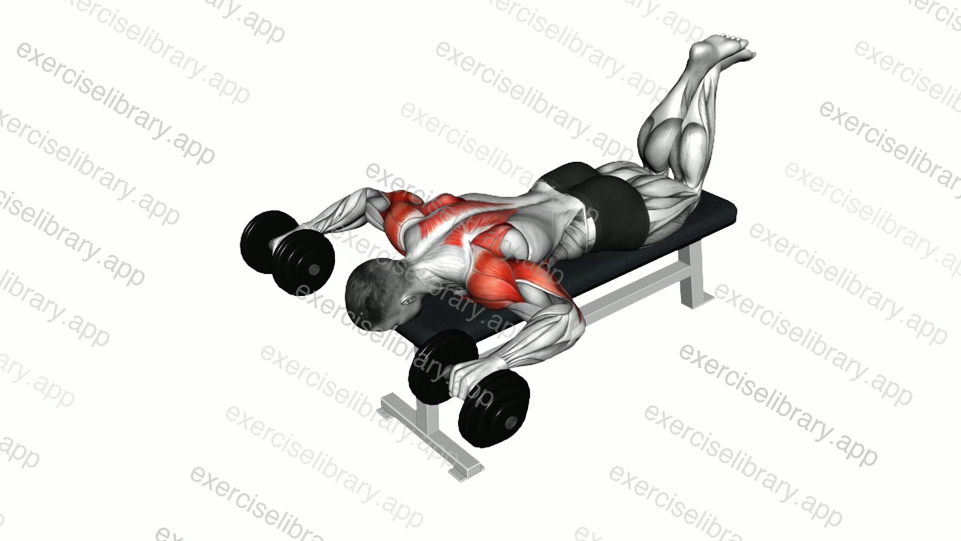 Dumbbell Face Down Lying Shoulder Press demonstration