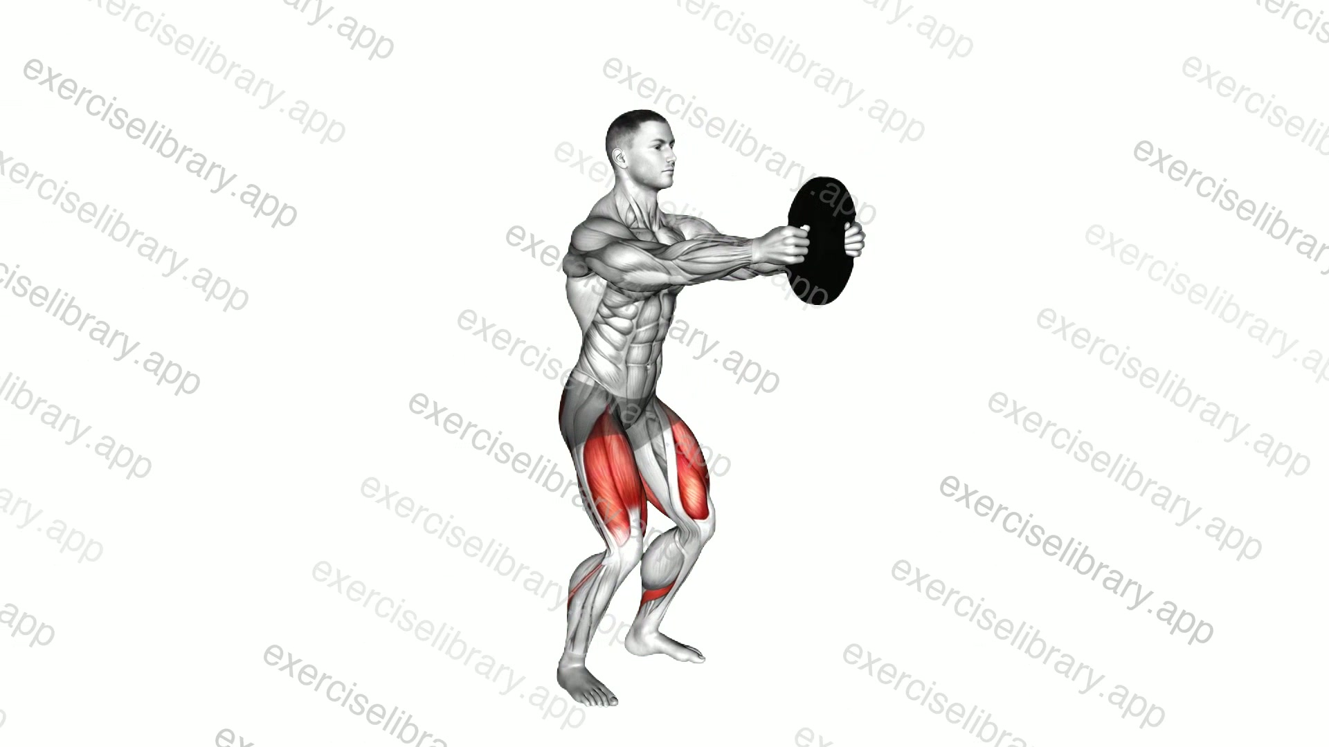 Weighted Counterbalanced Squat demonstration