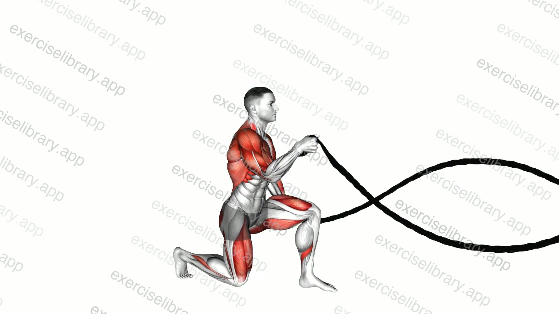 Battling Ropes Alternating Waves with Kneeling Get-up demonstration