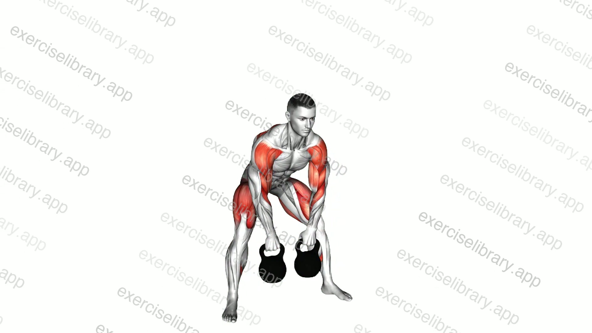 Kettlebell Sumo Deadlift with High Pull demonstration