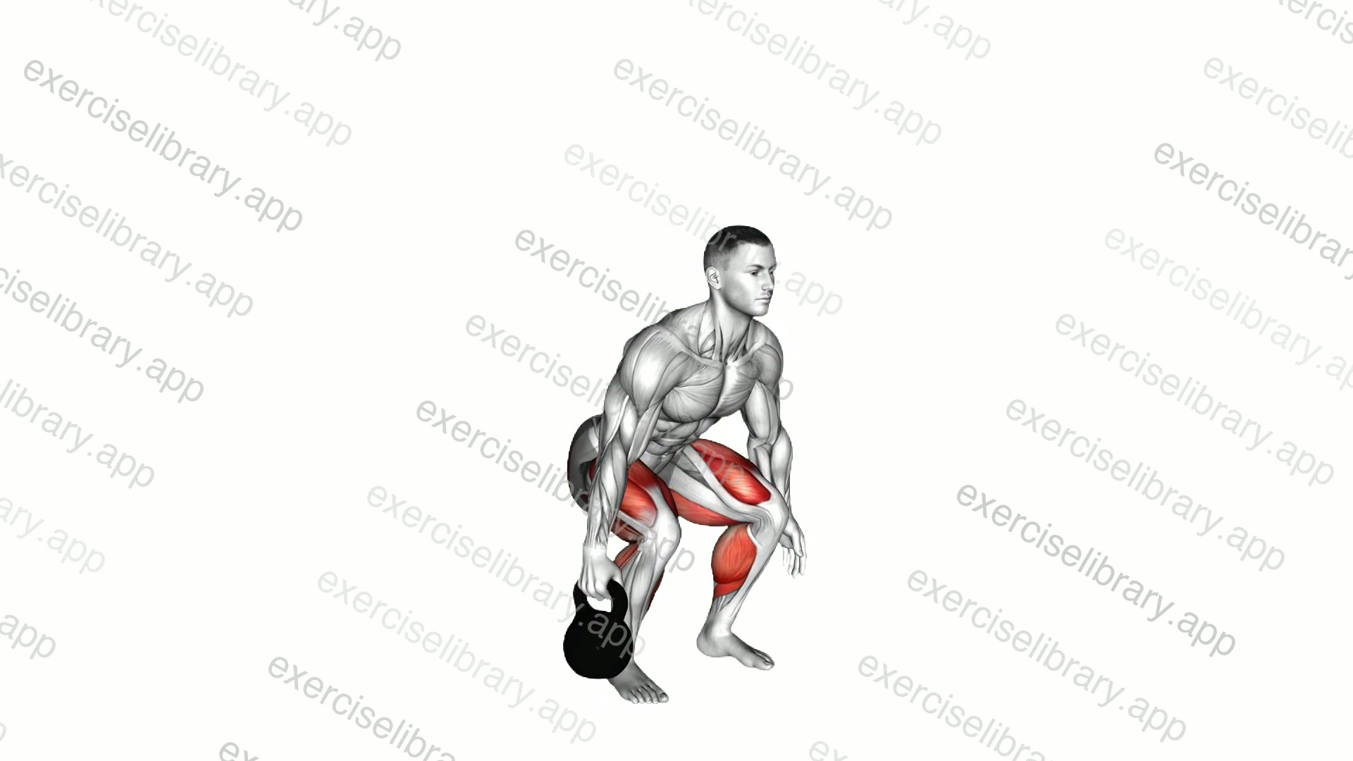 Kettlebell Suitcase Deadlift demonstration
