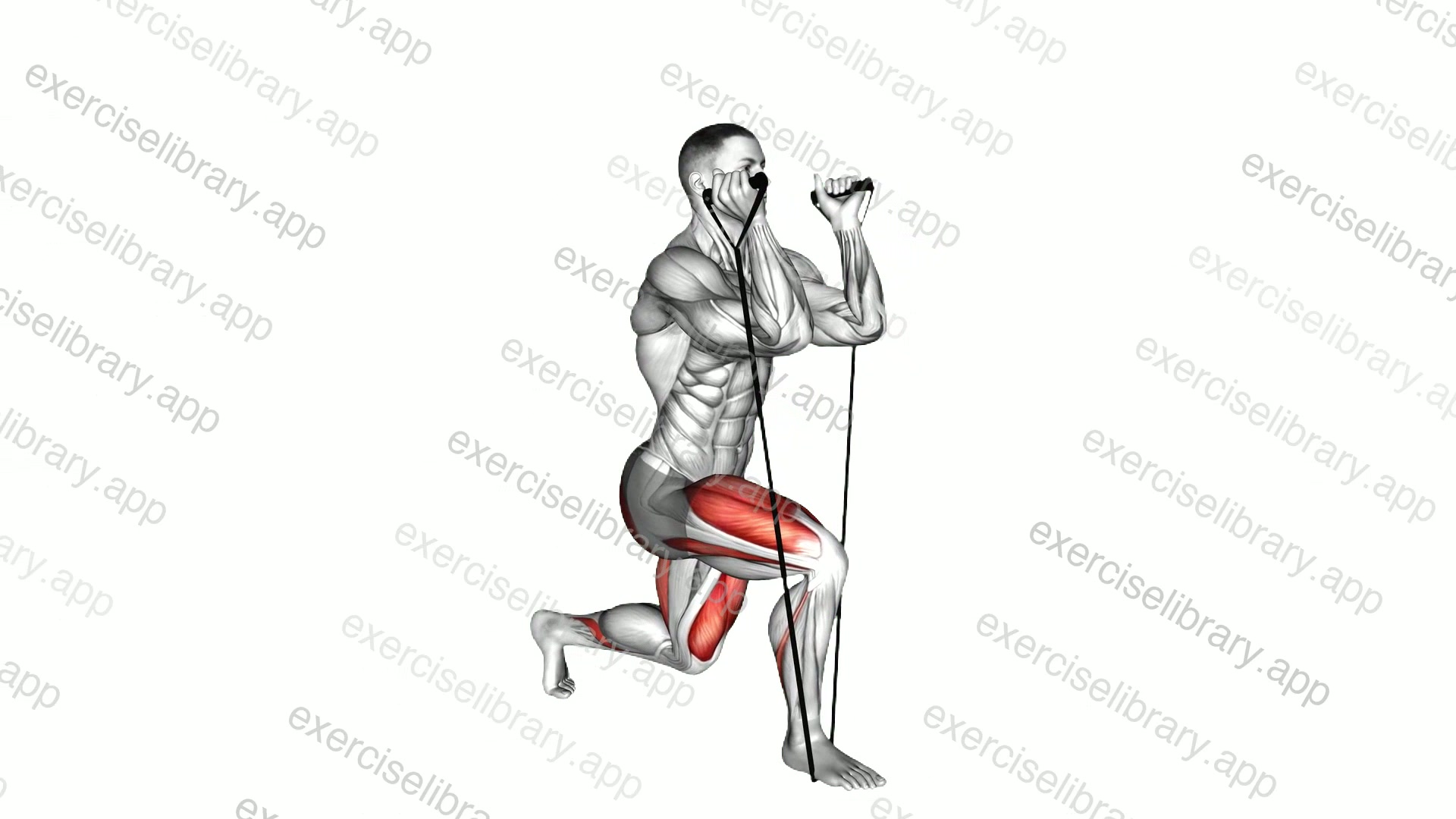 Band Split Squat demonstration