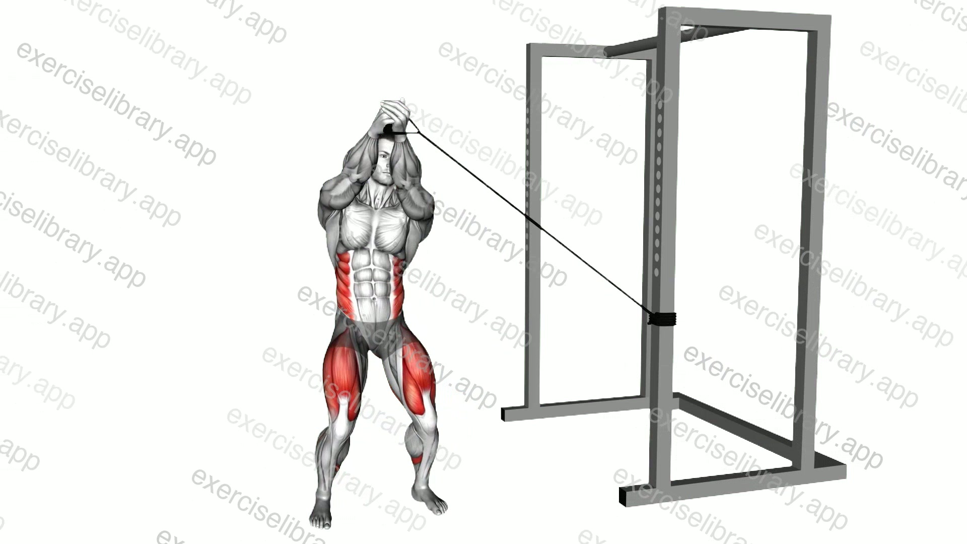 Band Squat Twist demonstration