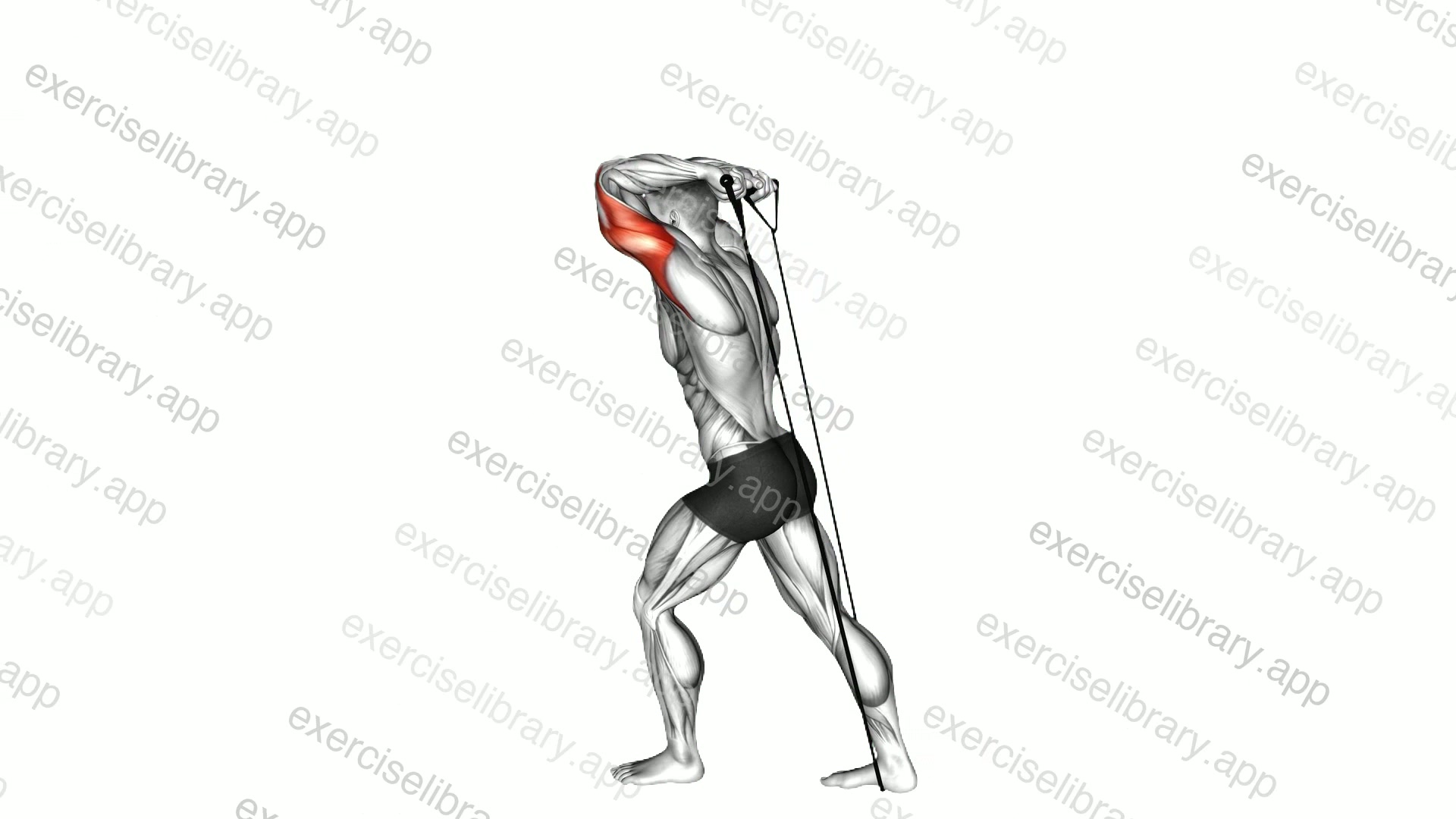Band Overhead Triceps Extension demonstration