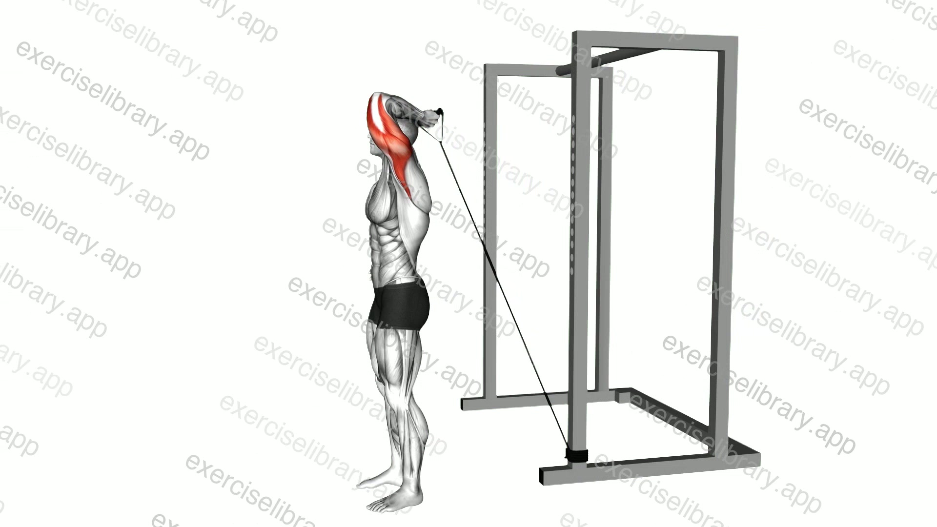 Band Overhead Single Arm Triceps Extension demonstration