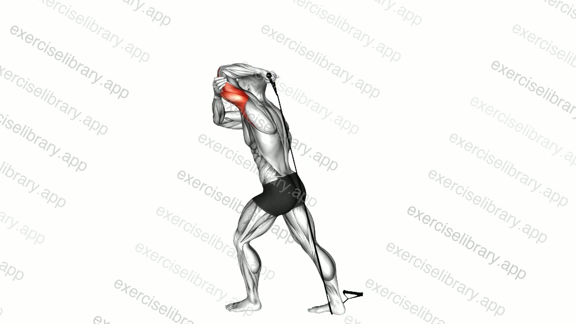 Band Overhead Single Arm Triceps Extension demonstration