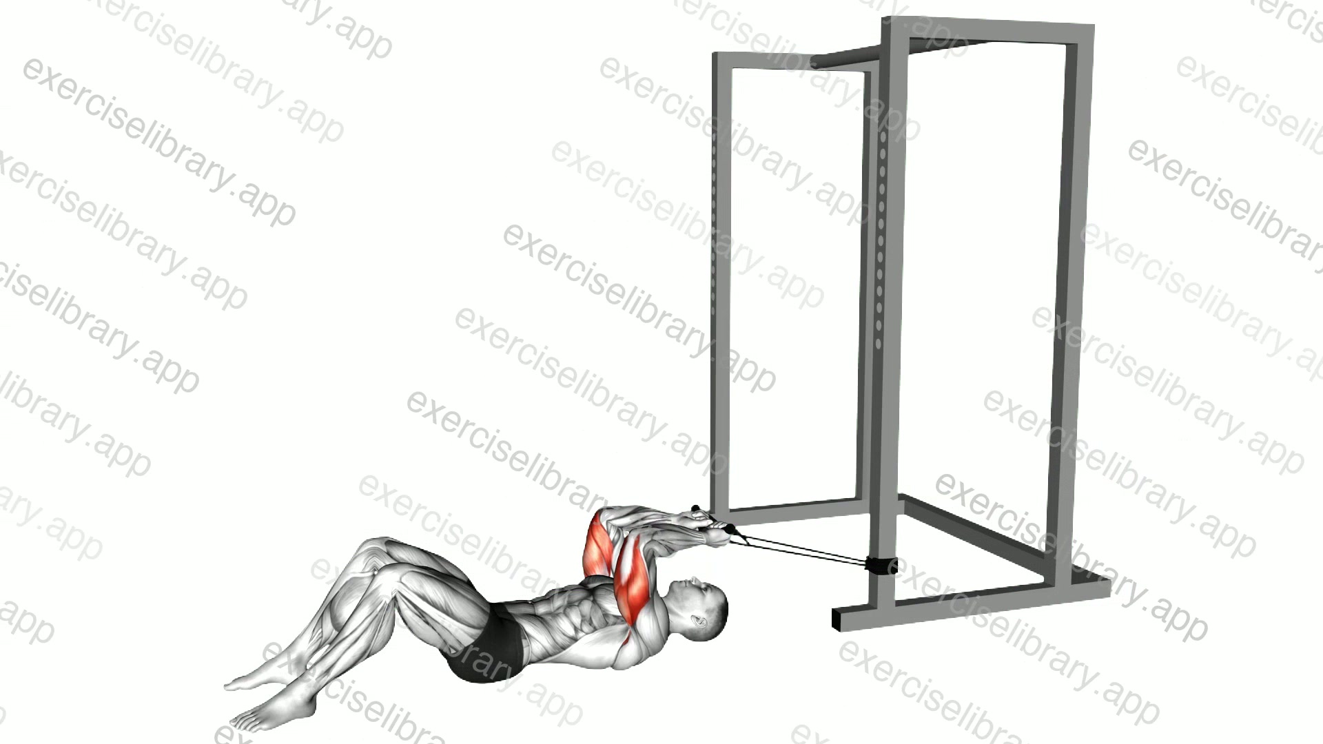 Band Lying Reverse Grip Pressdown demonstration