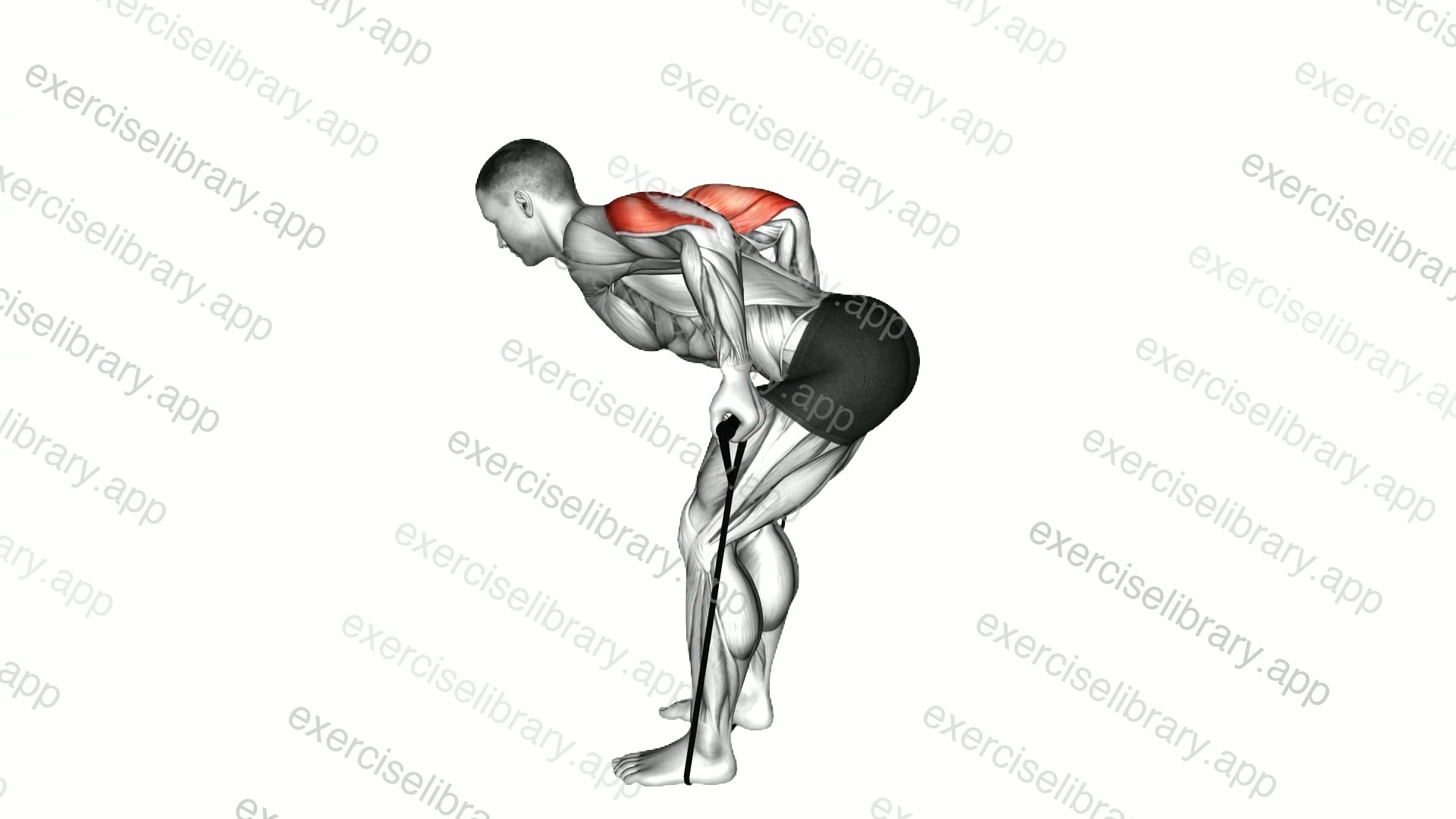 Band Triceps Kickback demonstration