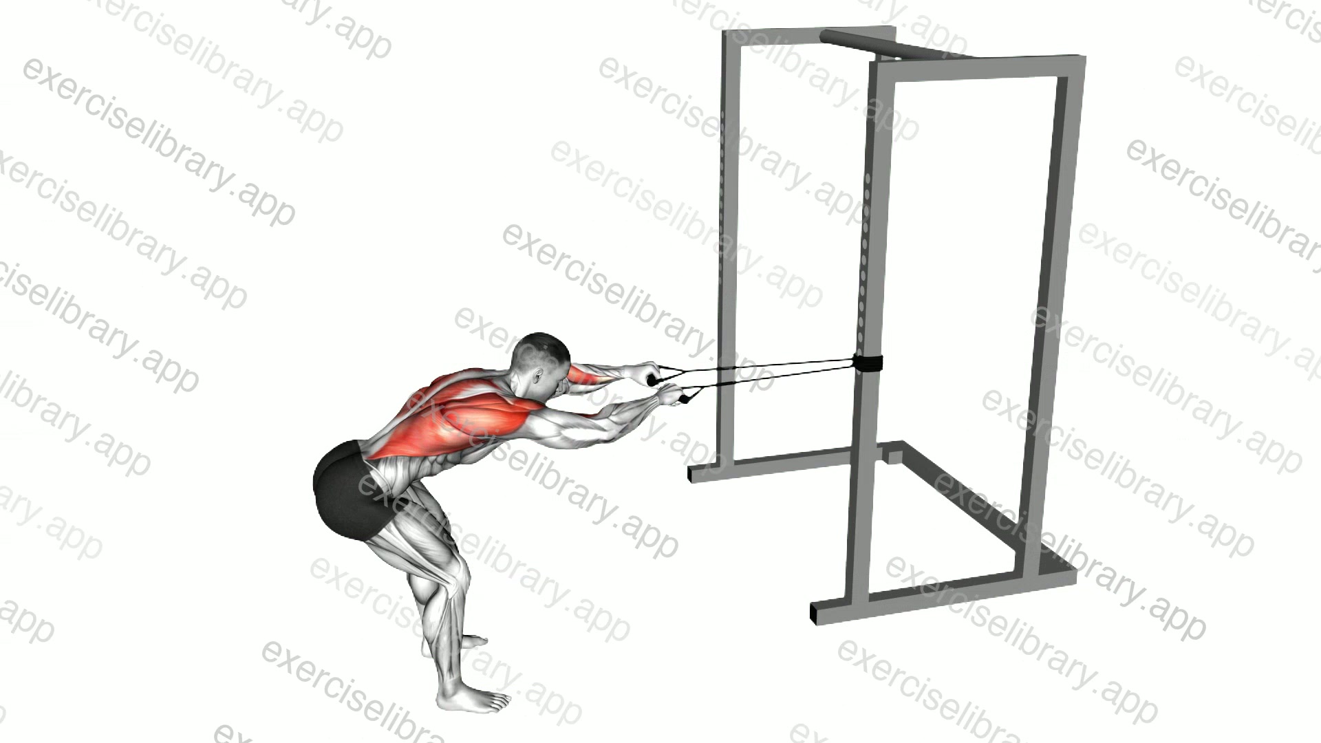 Band Bent Over Lat Pulldown demonstration