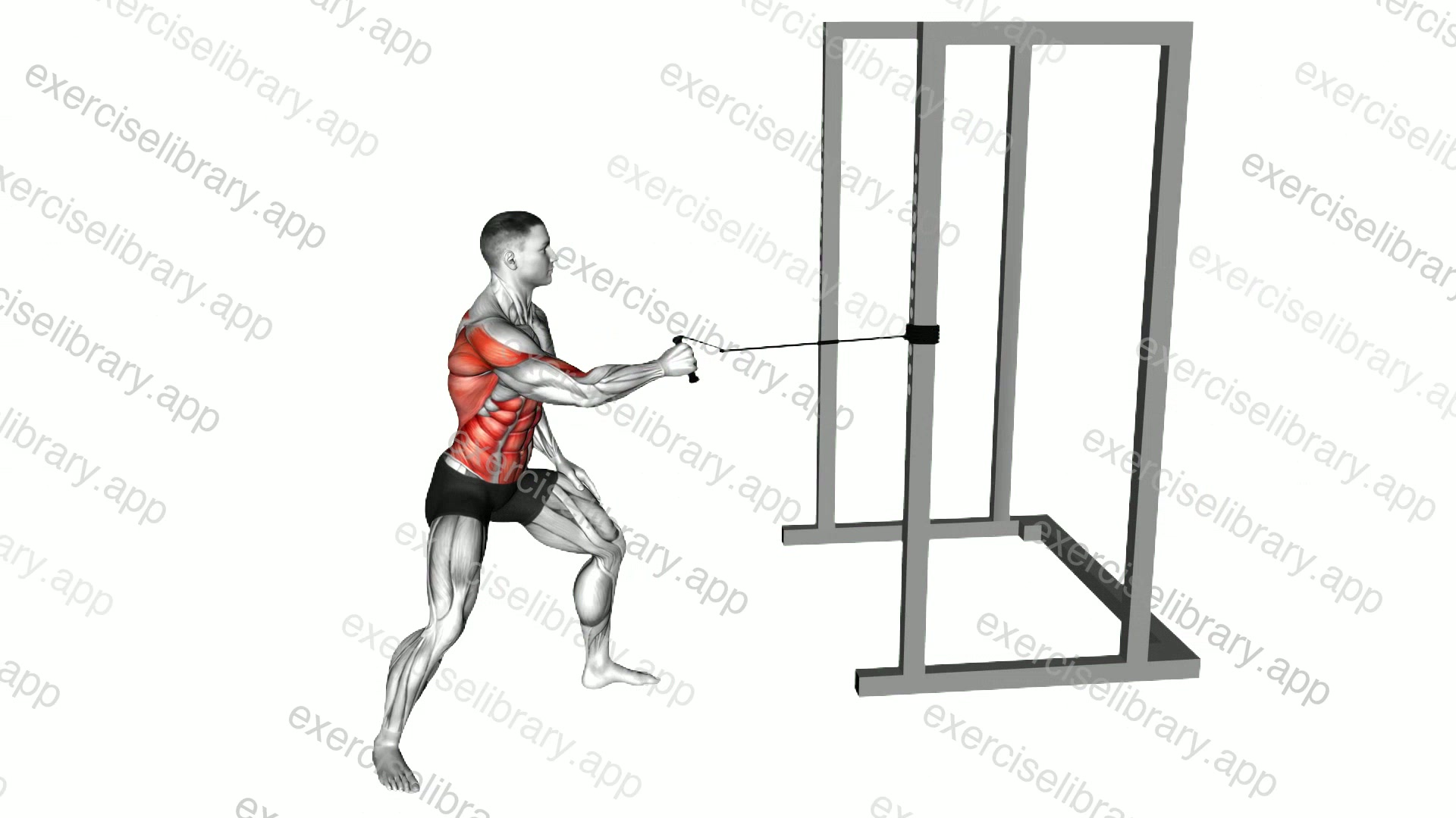 Band Standing Single Arm Twist Row demonstration