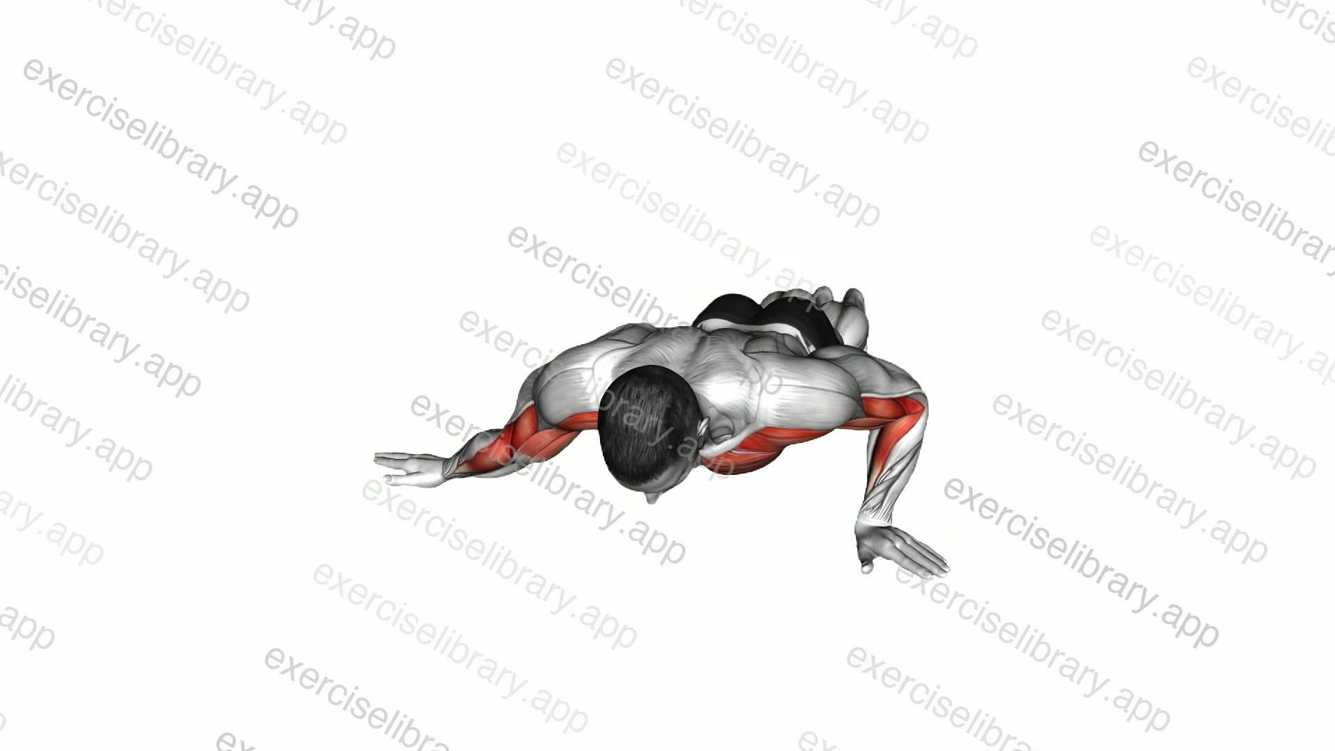One Side Archer Push-up demonstration