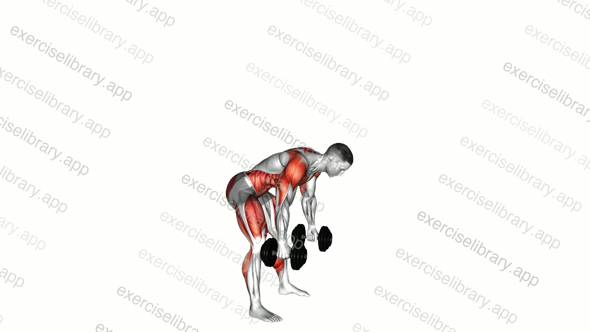 Dumbbell Devils Press demonstration