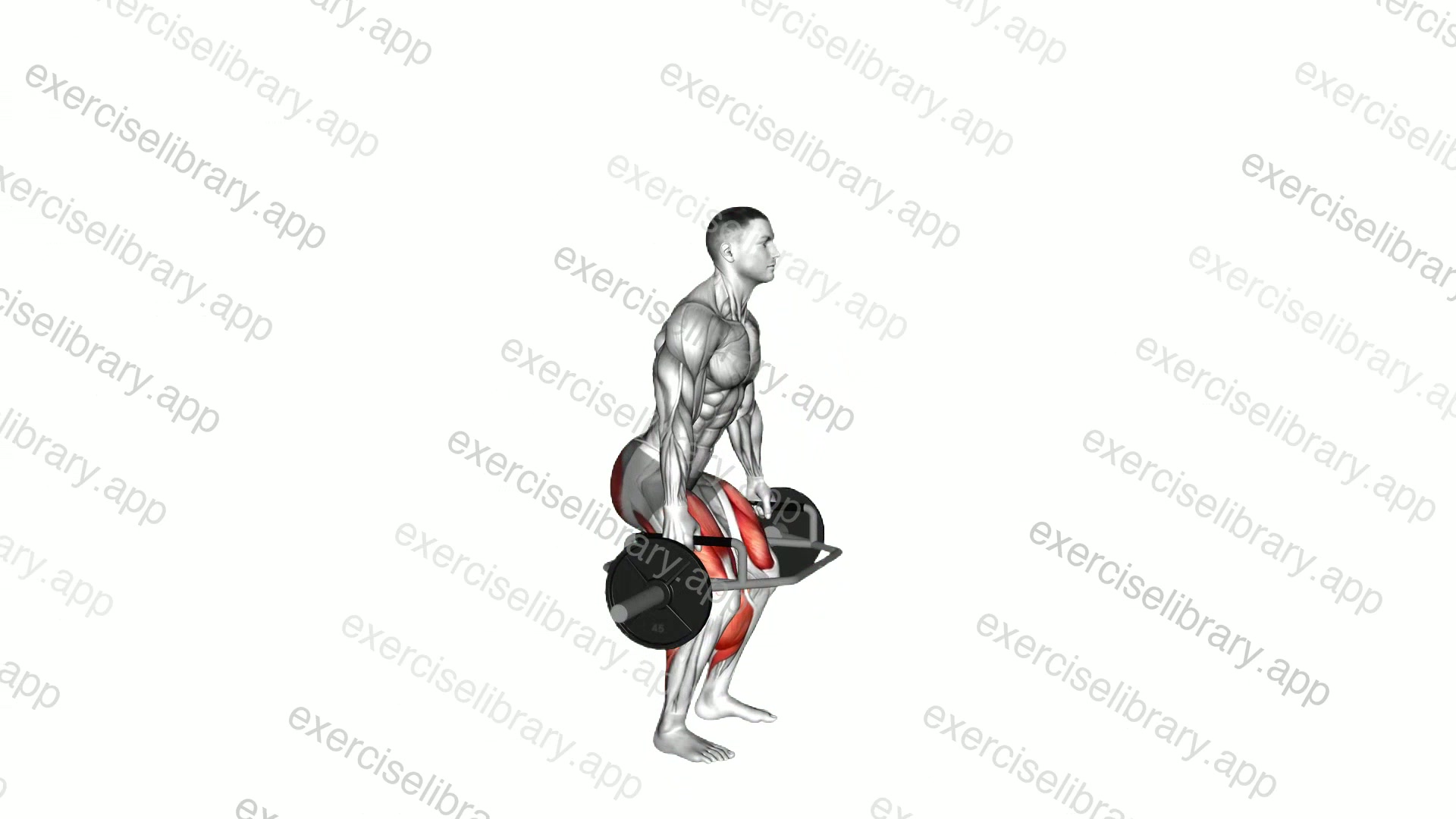 Trap Bar Jump Squat demonstration