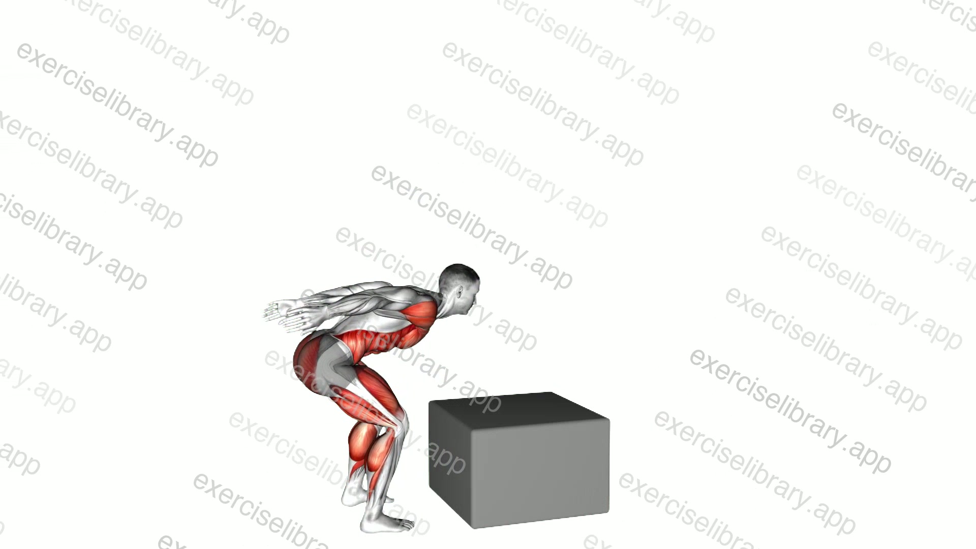 Jump Pistol Squat Box demonstration