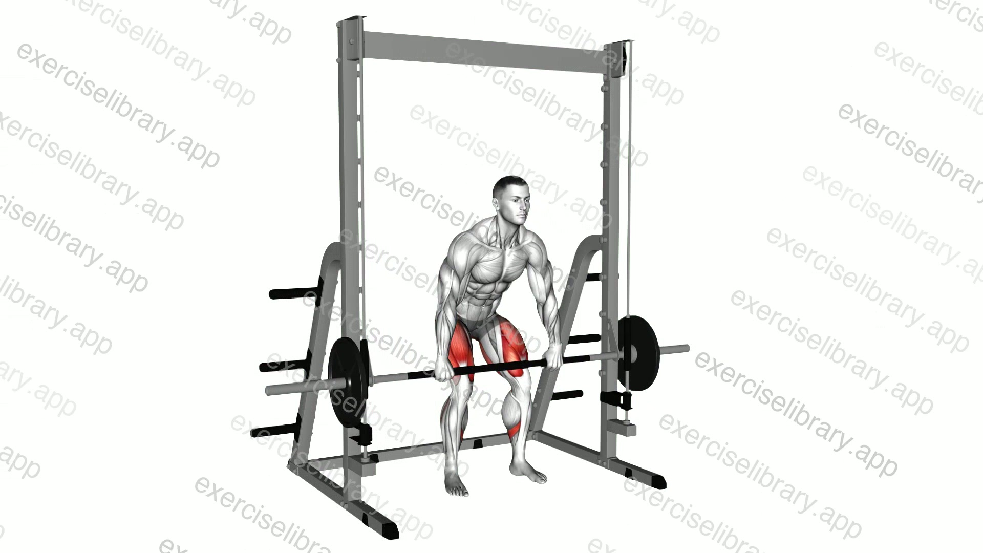 Smith Rack Pull demonstration