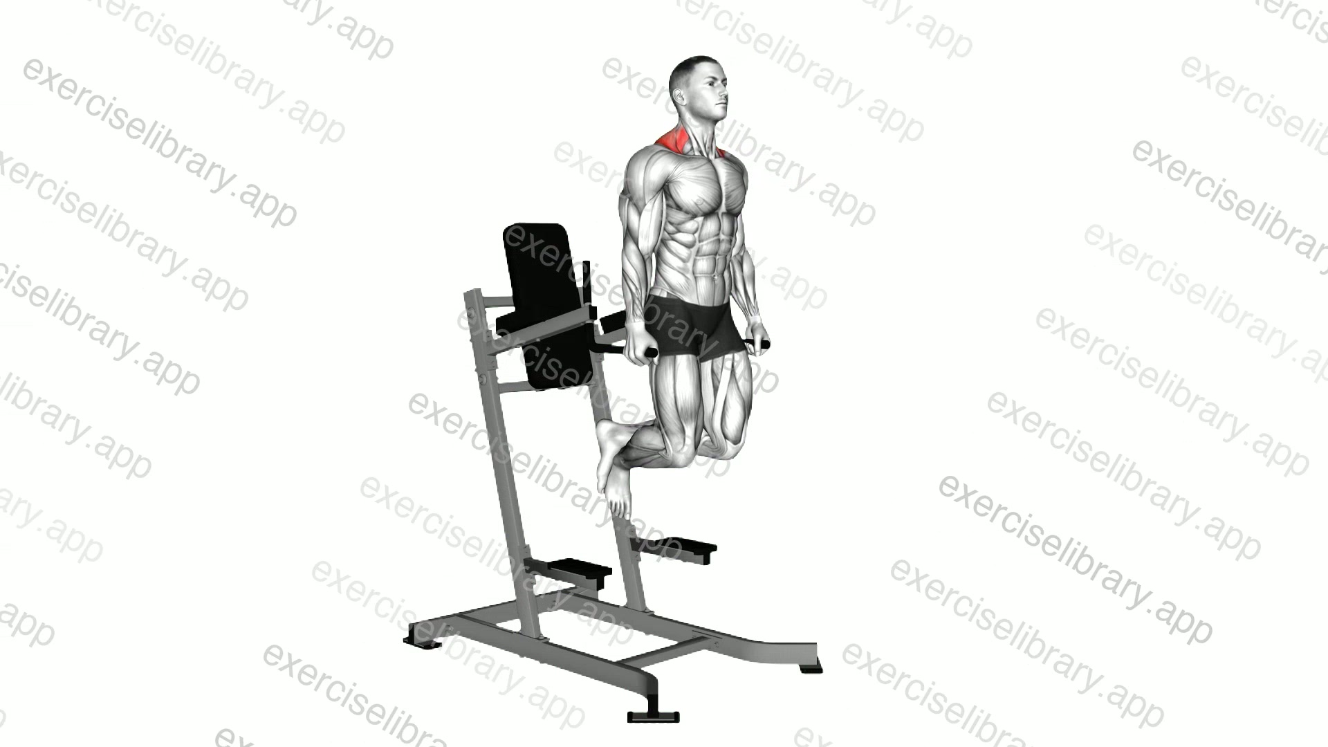Shrug demonstration