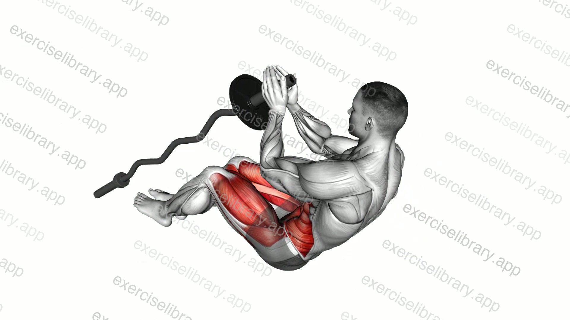 EZ Barbell Legs Side Pull In Sit-up demonstration