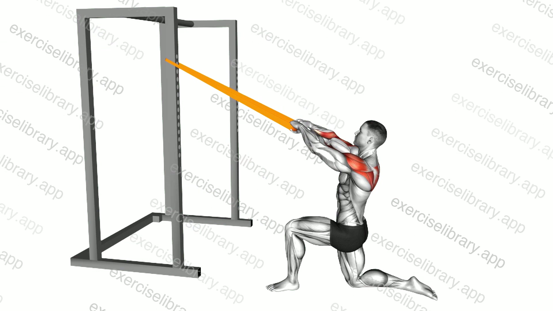 Resistance Band Half Kneeling Face Pull demonstration