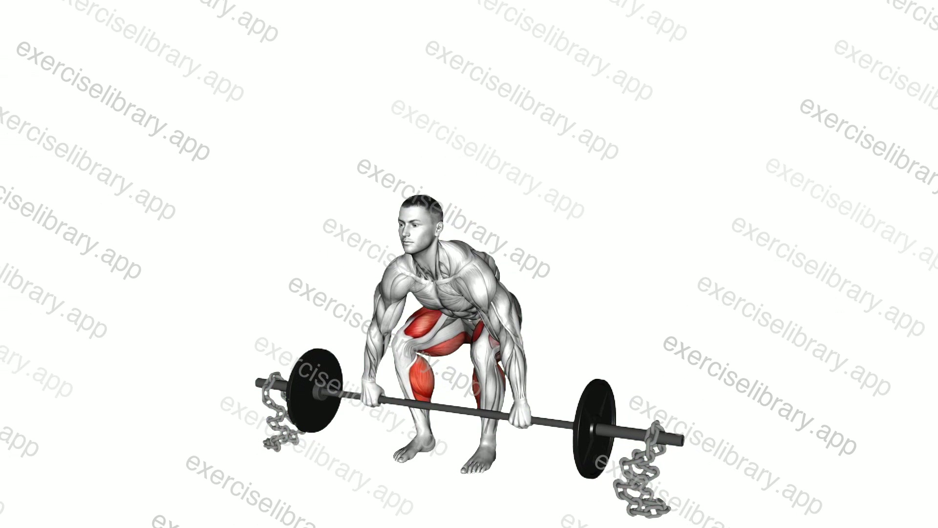Barbell Deadlift against Chains demonstration