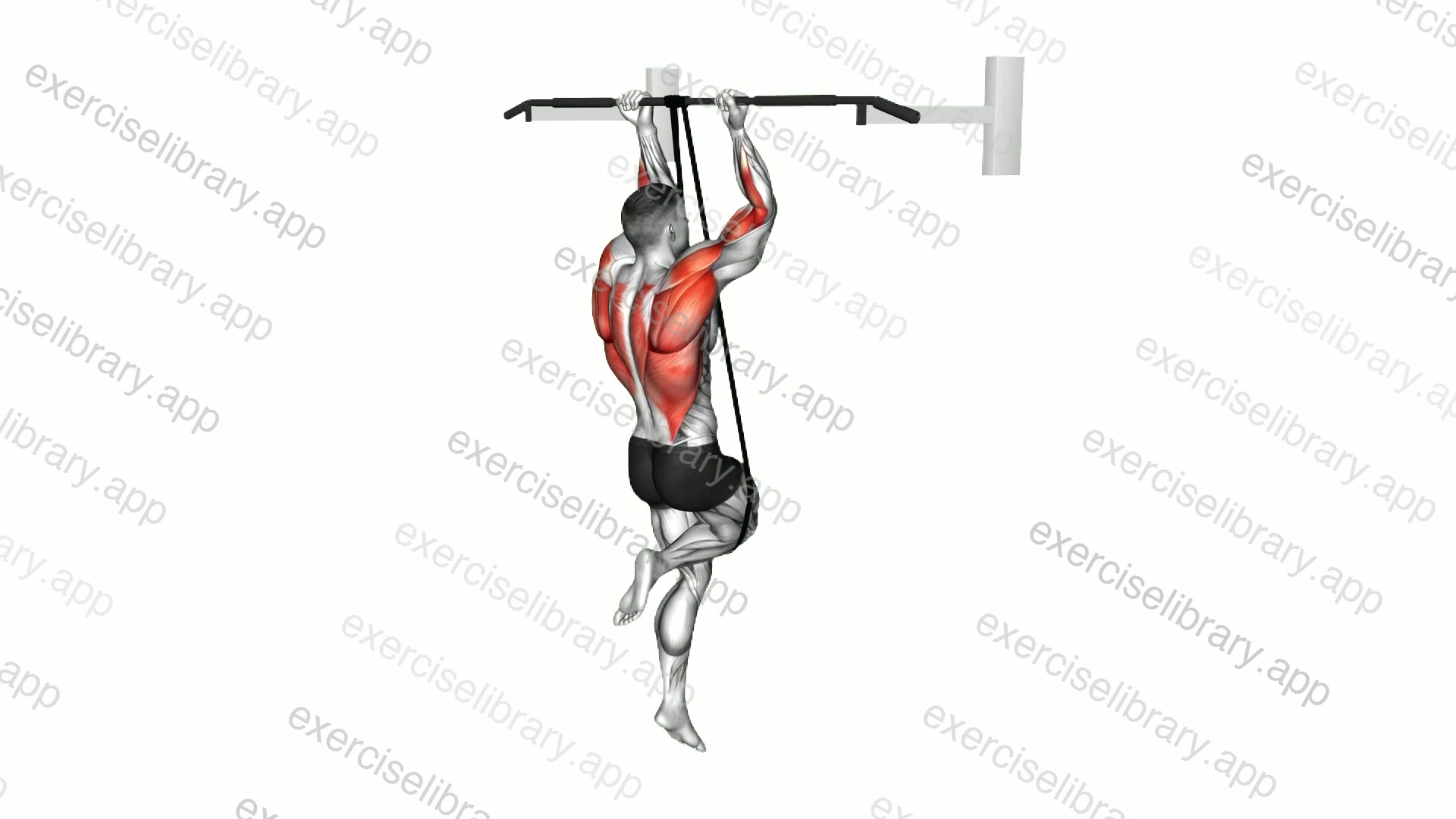 Band Assisted Chin-Up demonstration