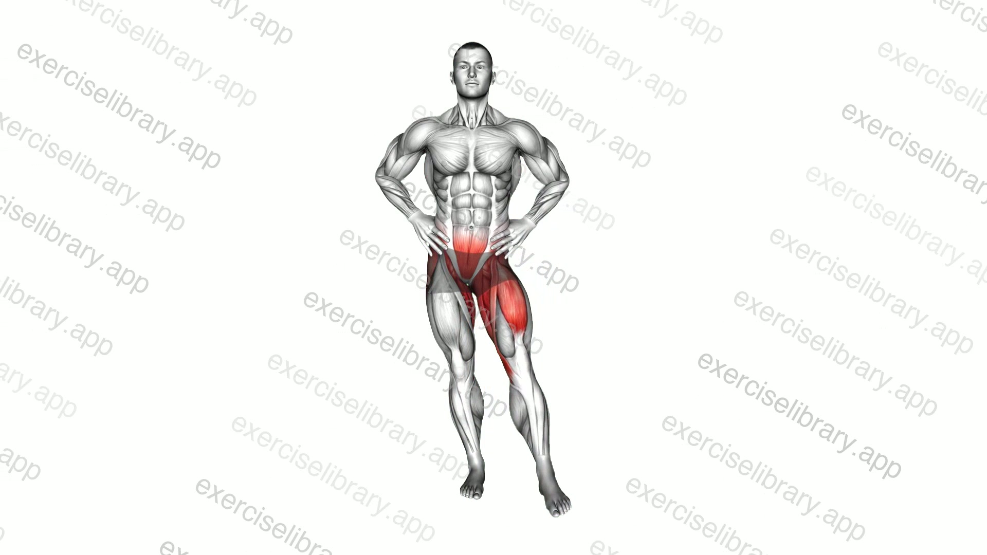 One Leg Star Balance demonstration