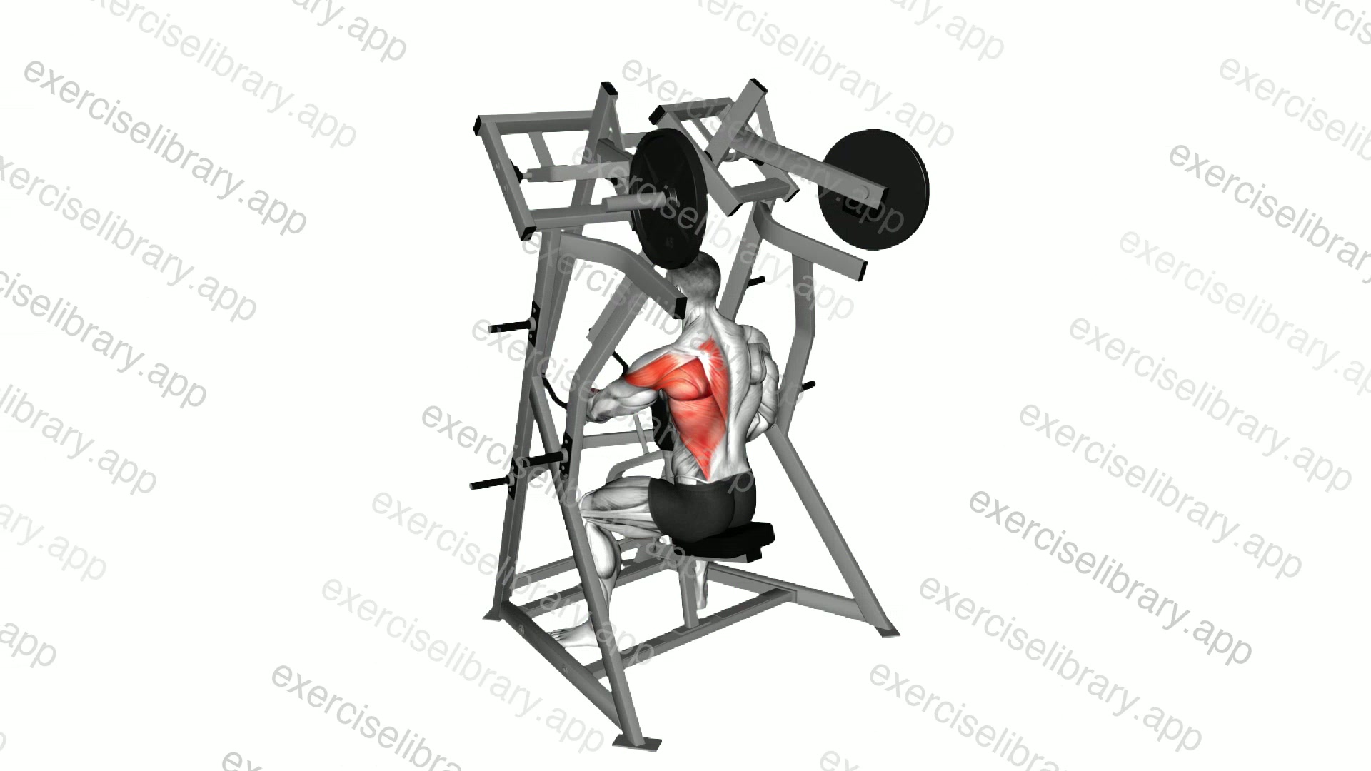 Lever One Arm Low Row demonstration