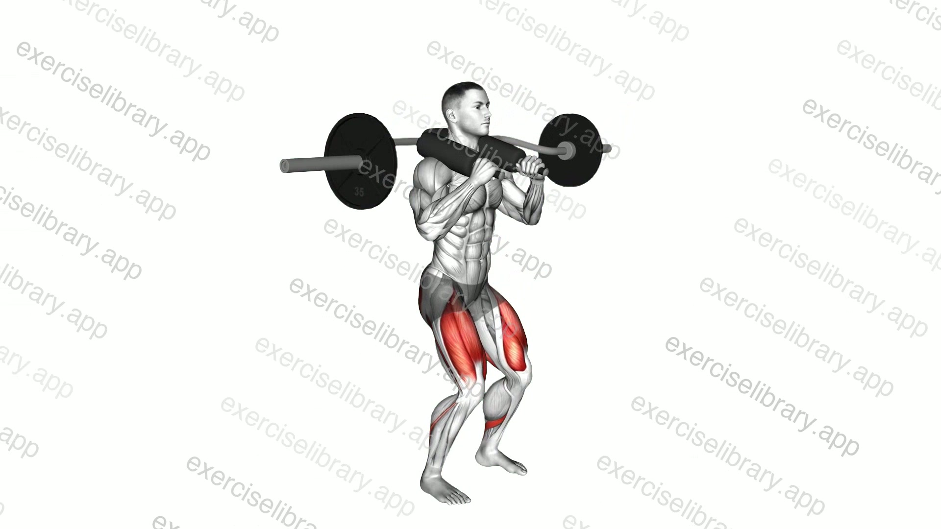 Safety Bar Front Squat demonstration