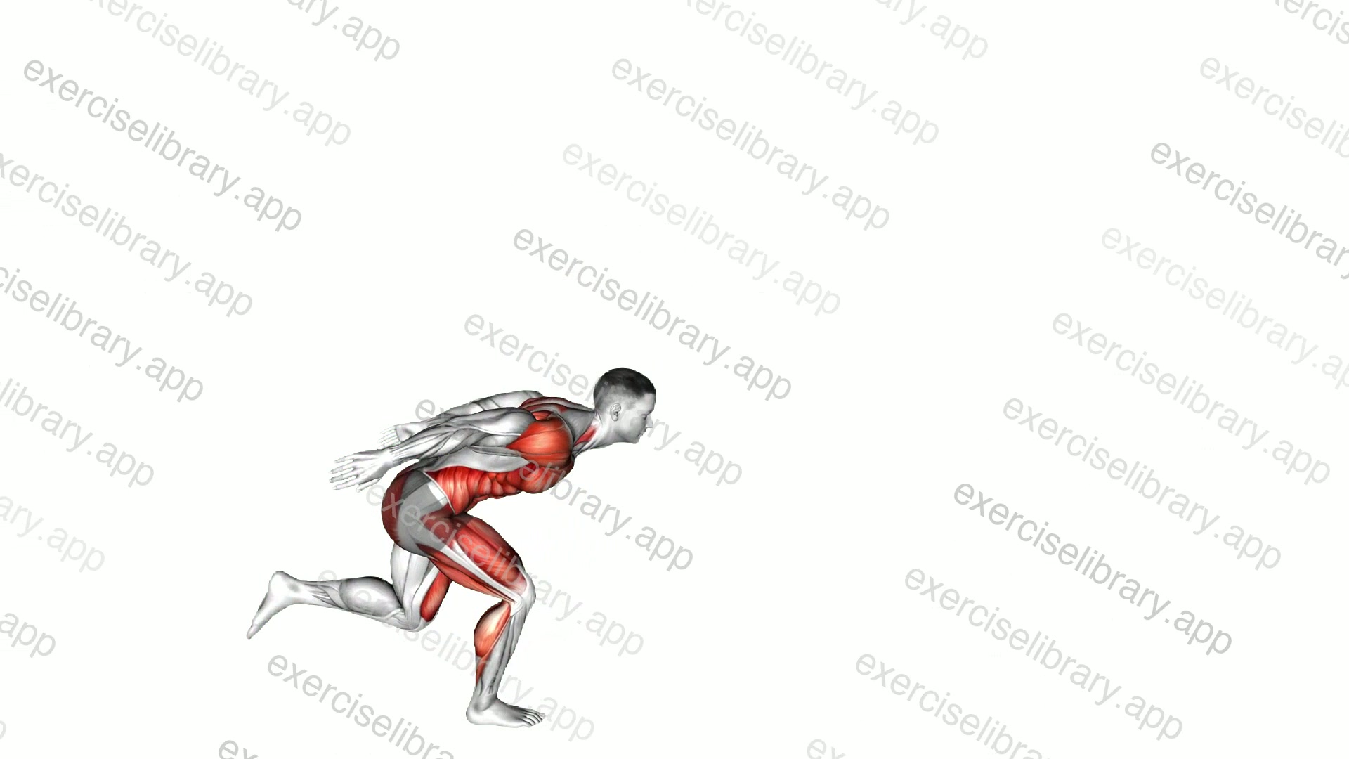 Single Leg Board Jump demonstration