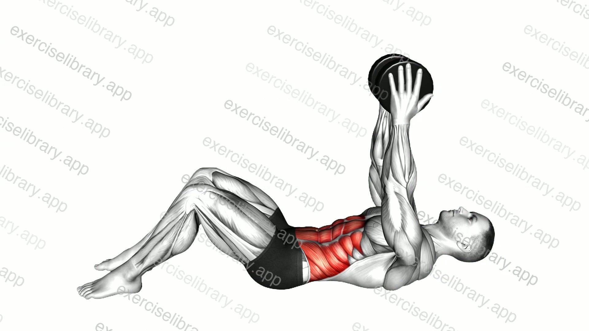 Dumbbell Straight Arm Crunch demonstration