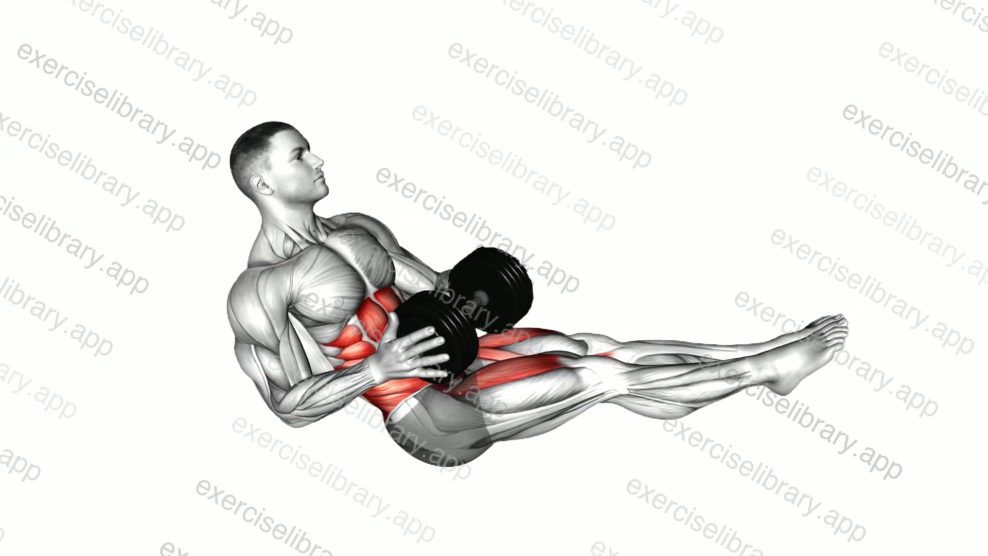Dumbbell Straight Leg Russian Twist demonstration