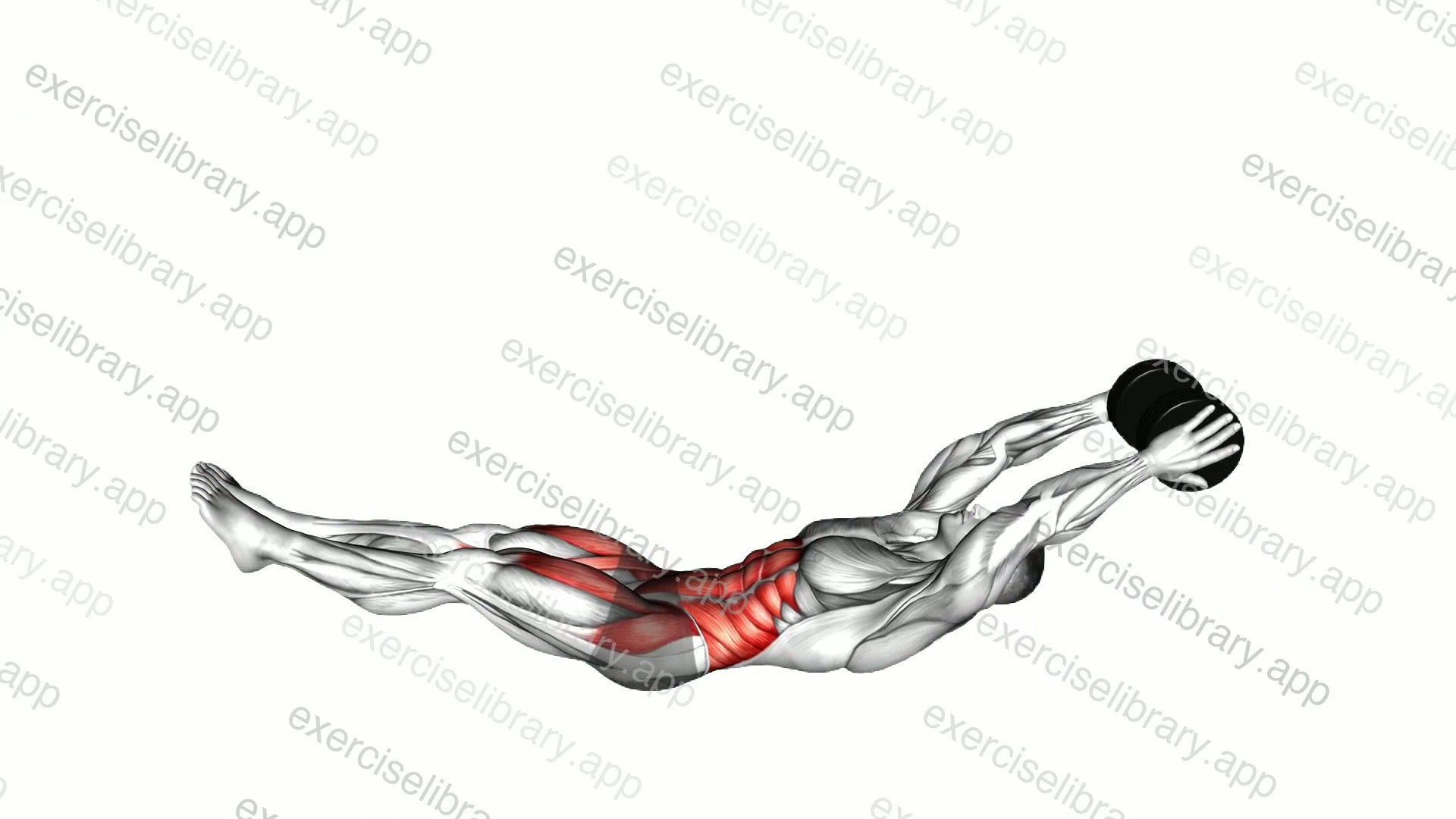Dumbbell V-up demonstration