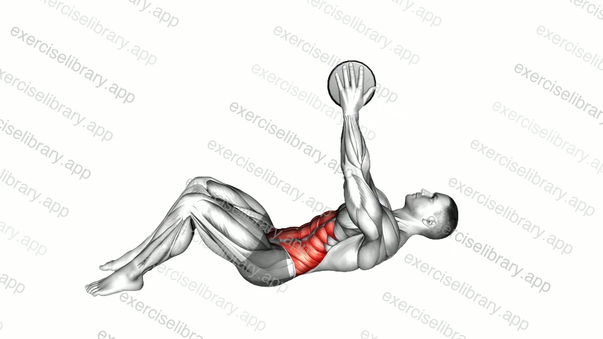 Dumbbell Straight Arm Twisting Sit-up demonstration