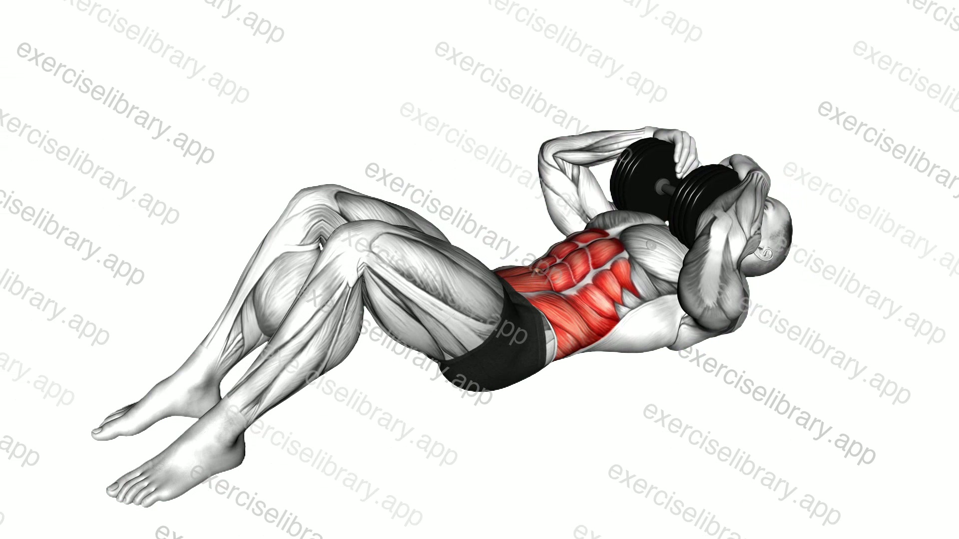 Weighted Crunch demonstration