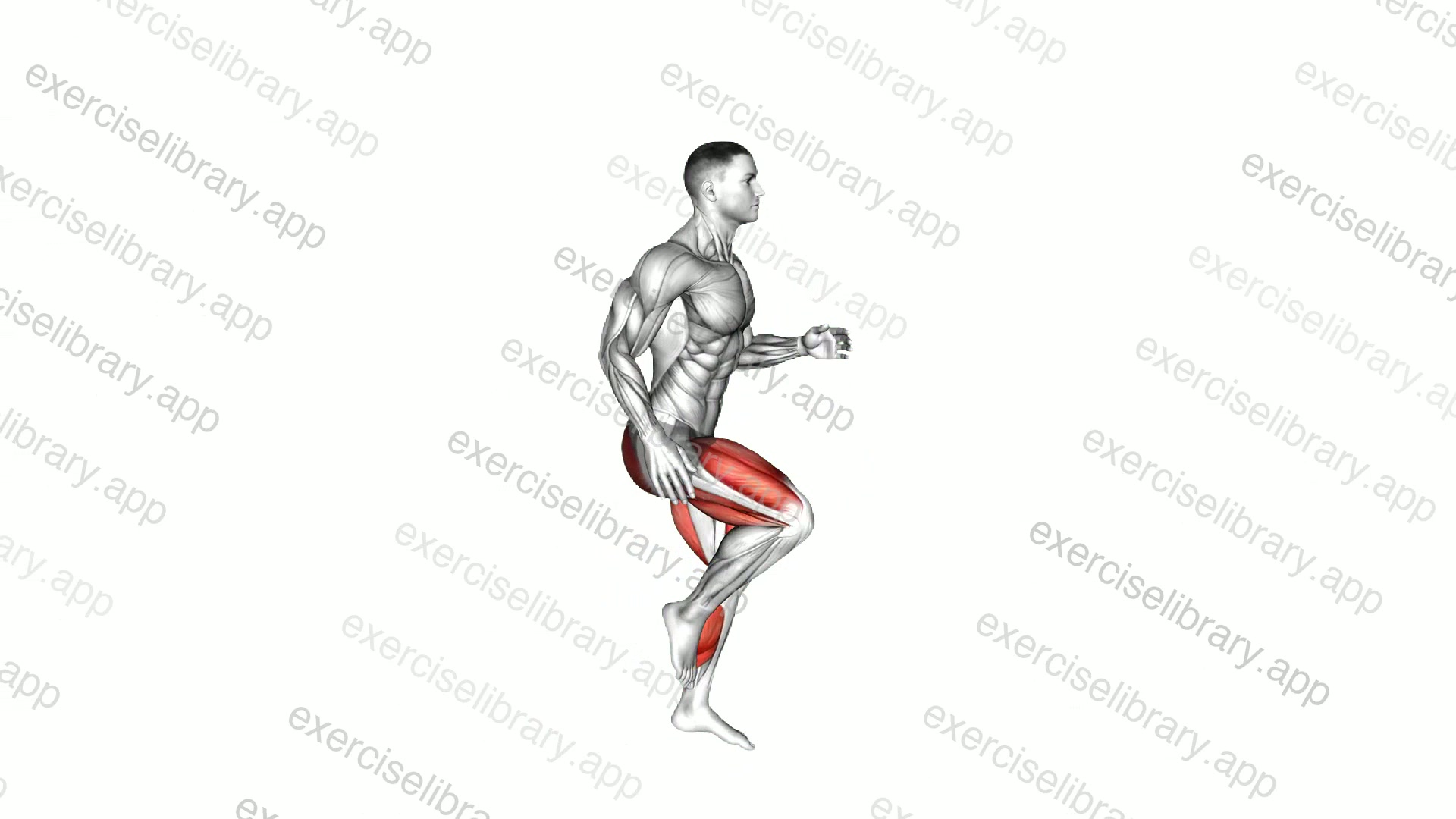 Single Leg Vertical Jump demonstration