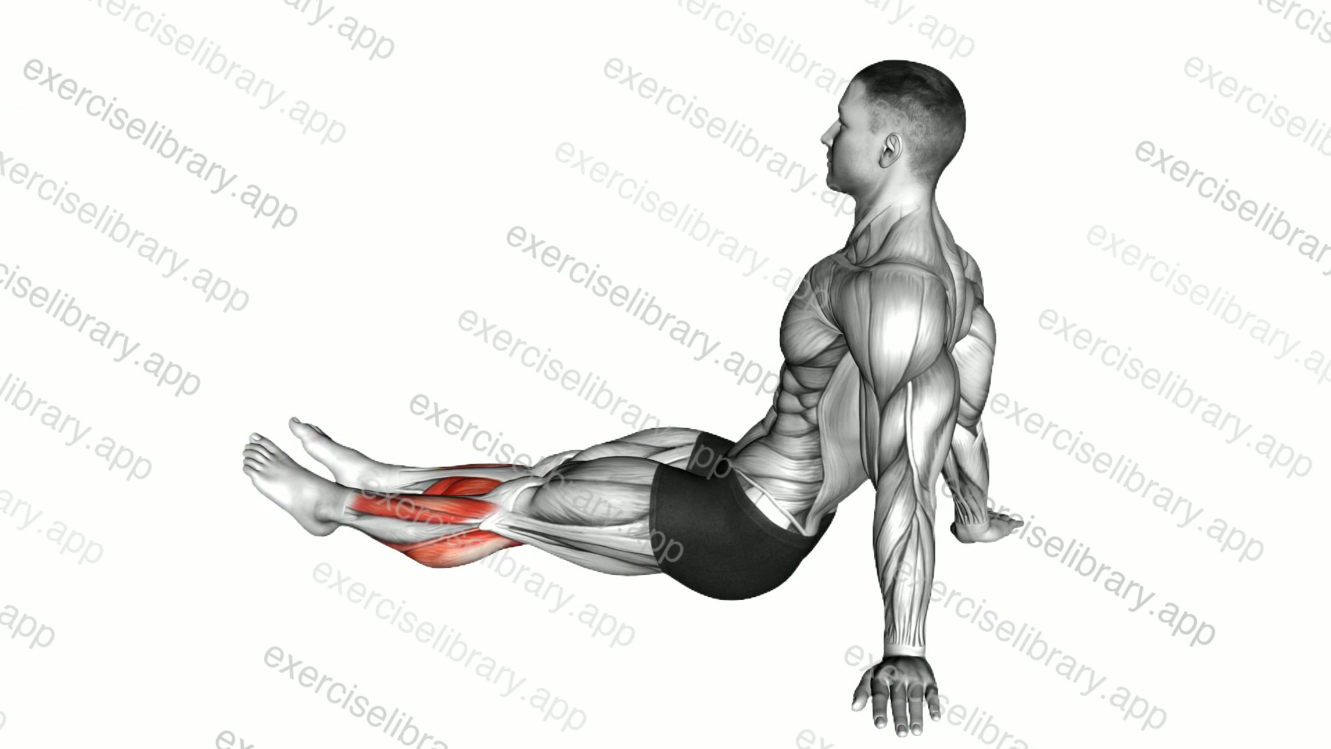 Feet and Ankles Stretch demonstration