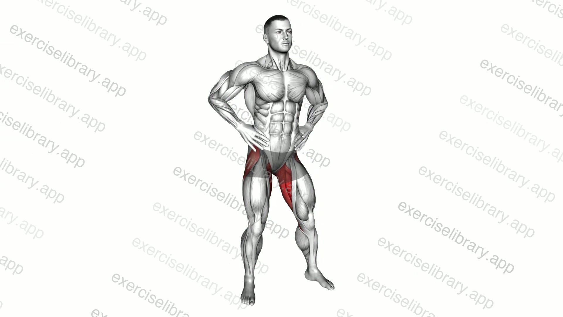 Hip Circles Stretch demonstration