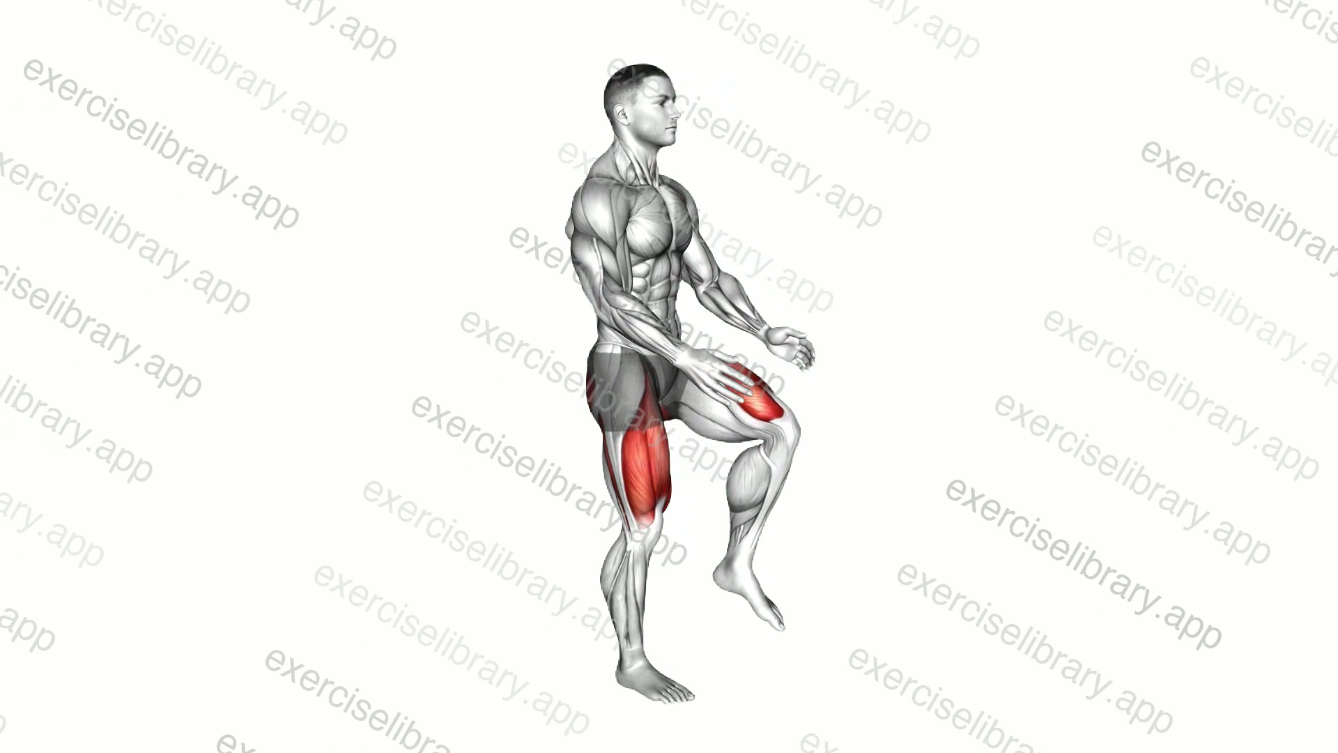 Knee Raise demonstration