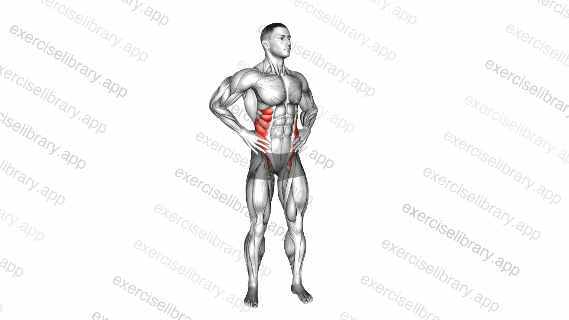 Middle Back Stretch demonstration