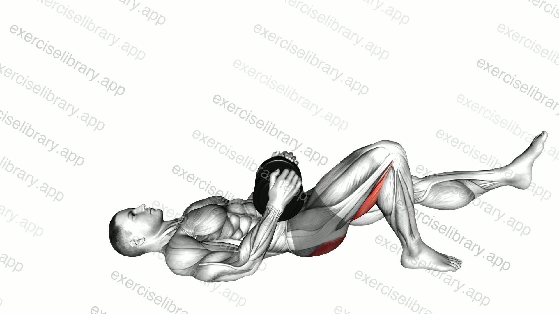 Dumbbell Single Leg Glute Bridge demonstration