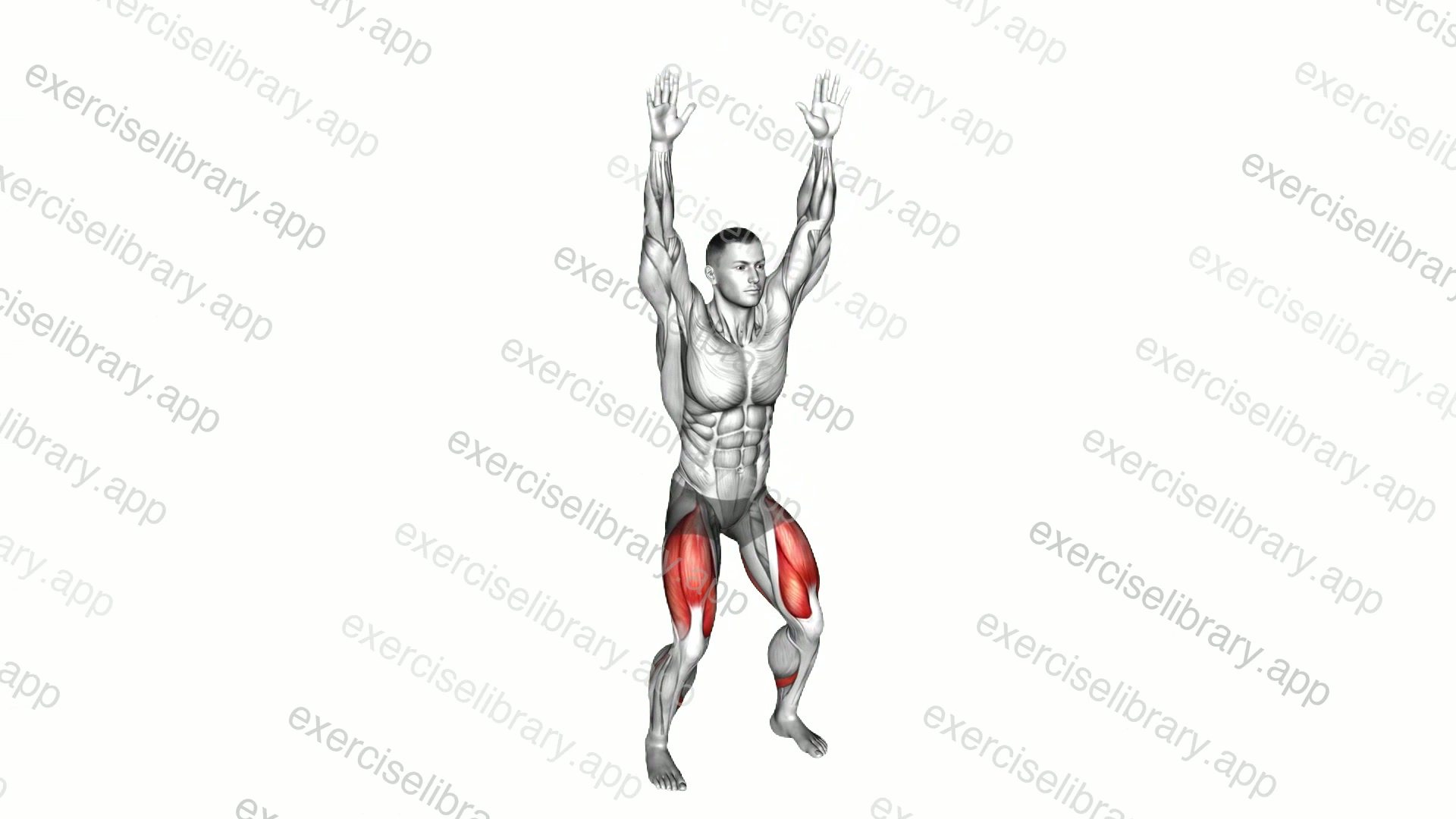 Bodyweight Overhead Squat demonstration