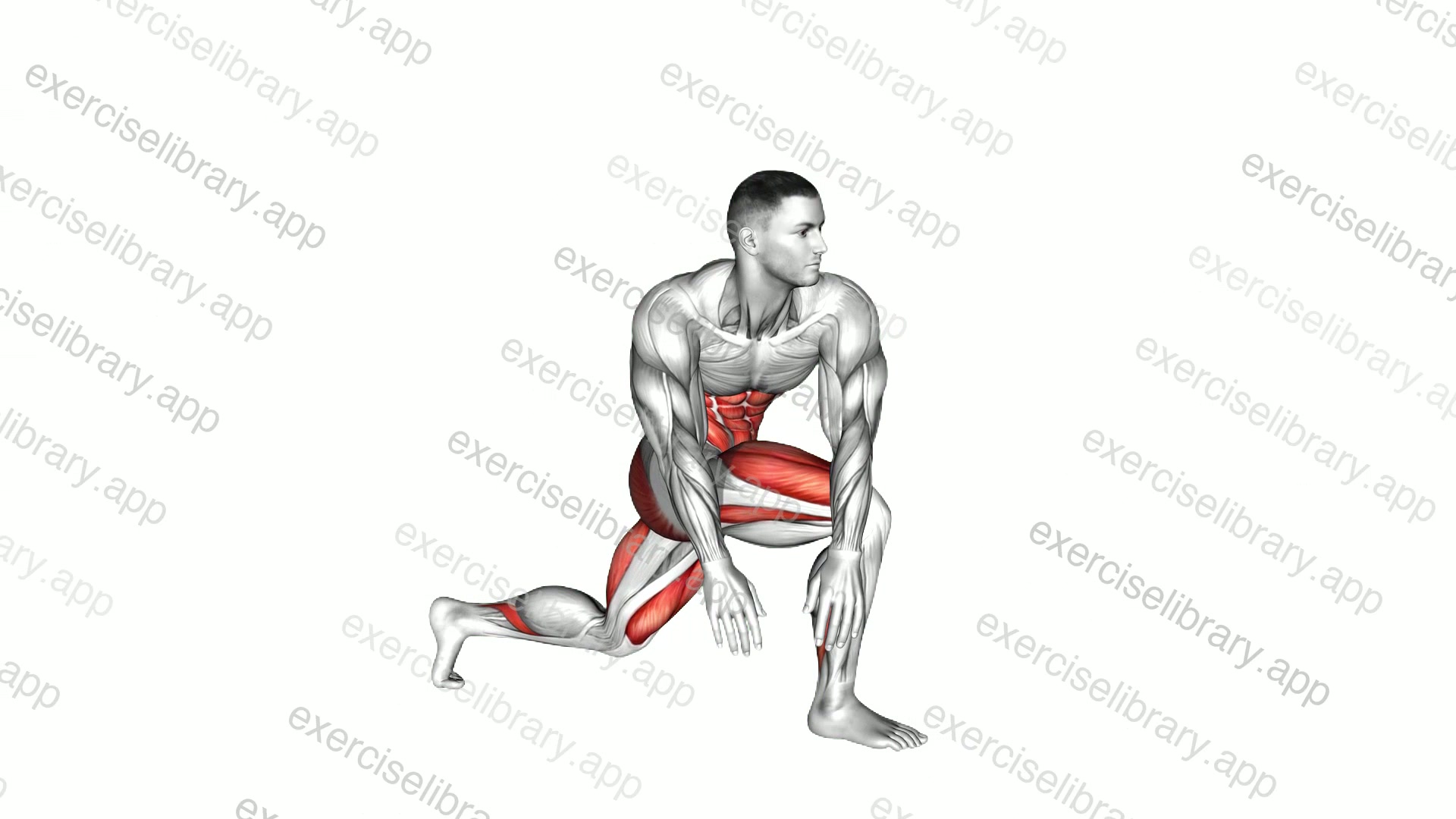 Crossover Kneeling Hip Flexor Stretch demonstration