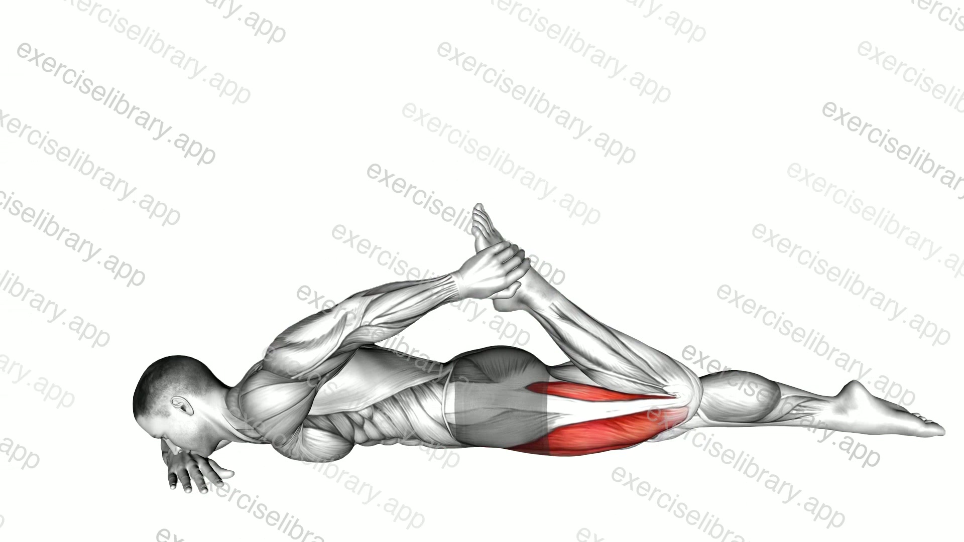 Quadriceps lying stretch demonstration