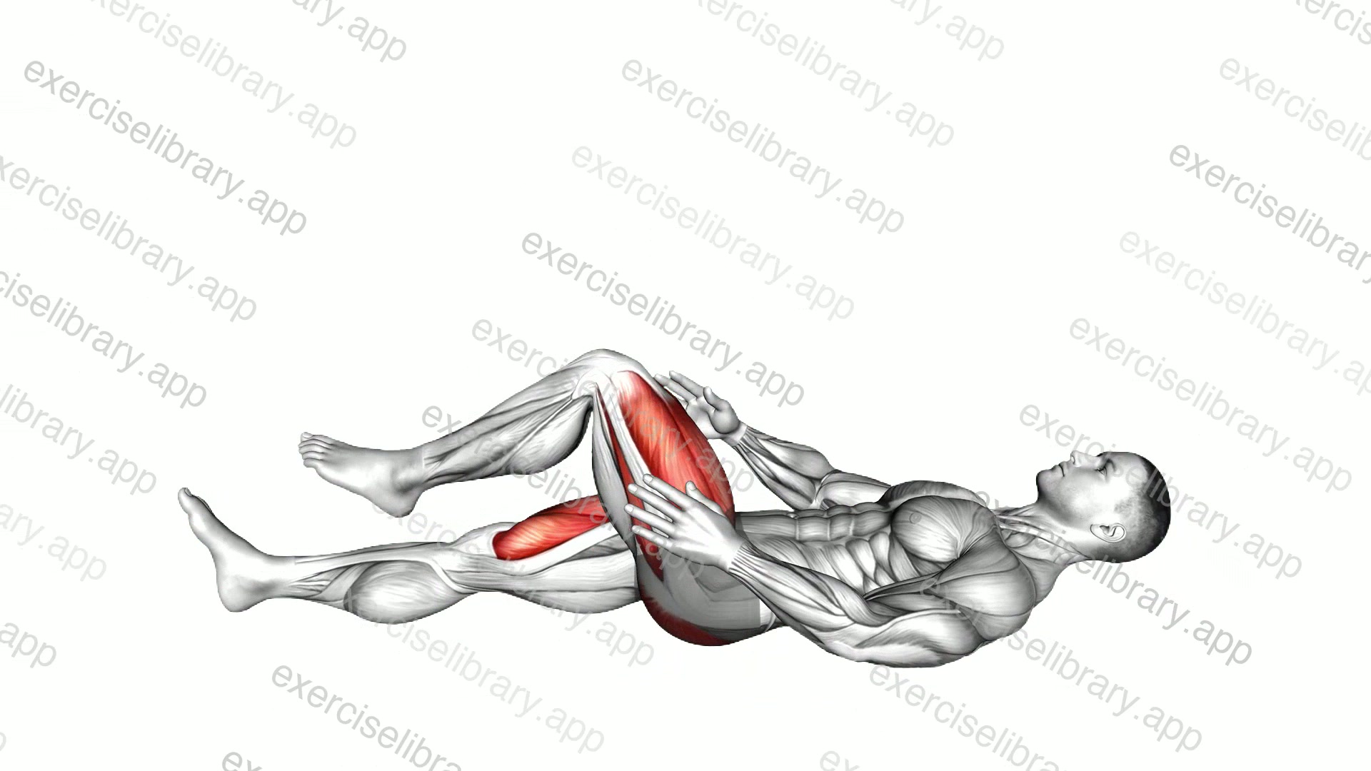 Single Leg Stretch demonstration