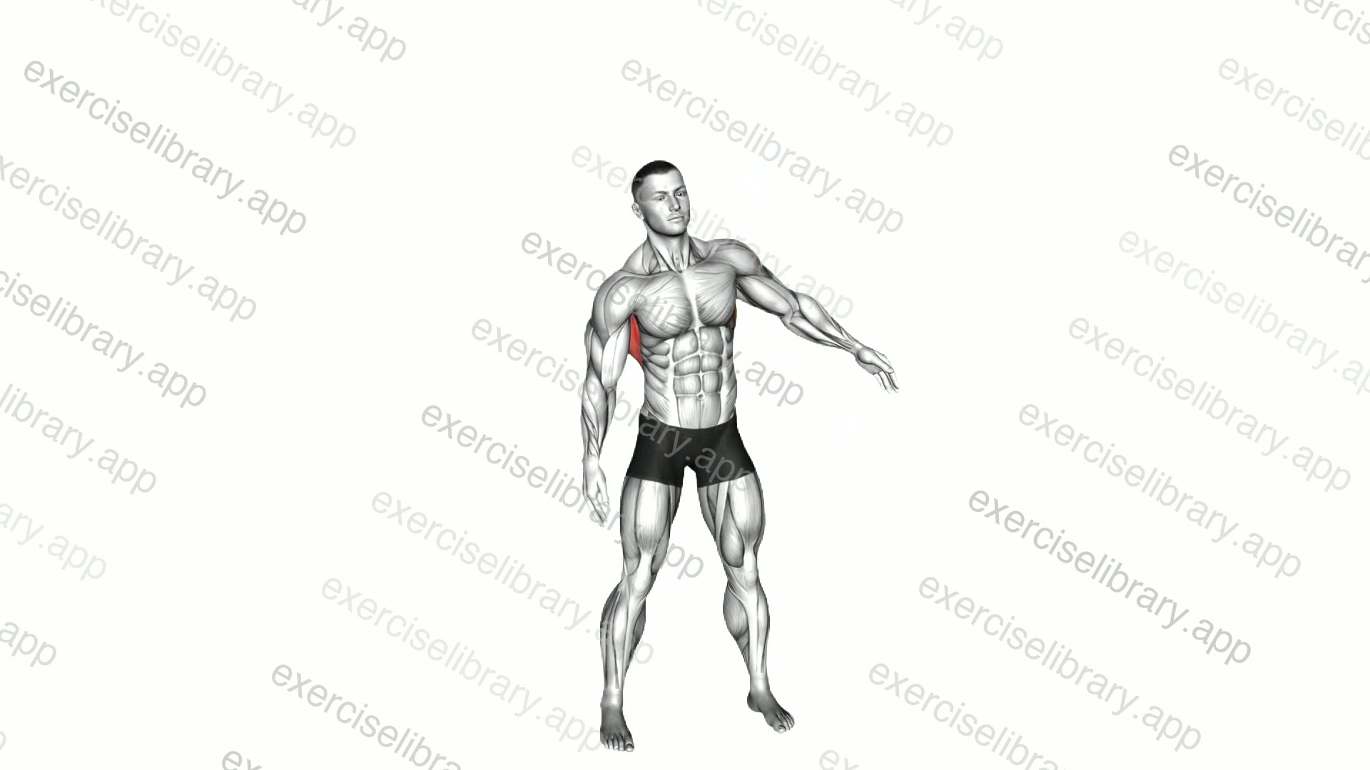 Slopes Towards Stretch demonstration