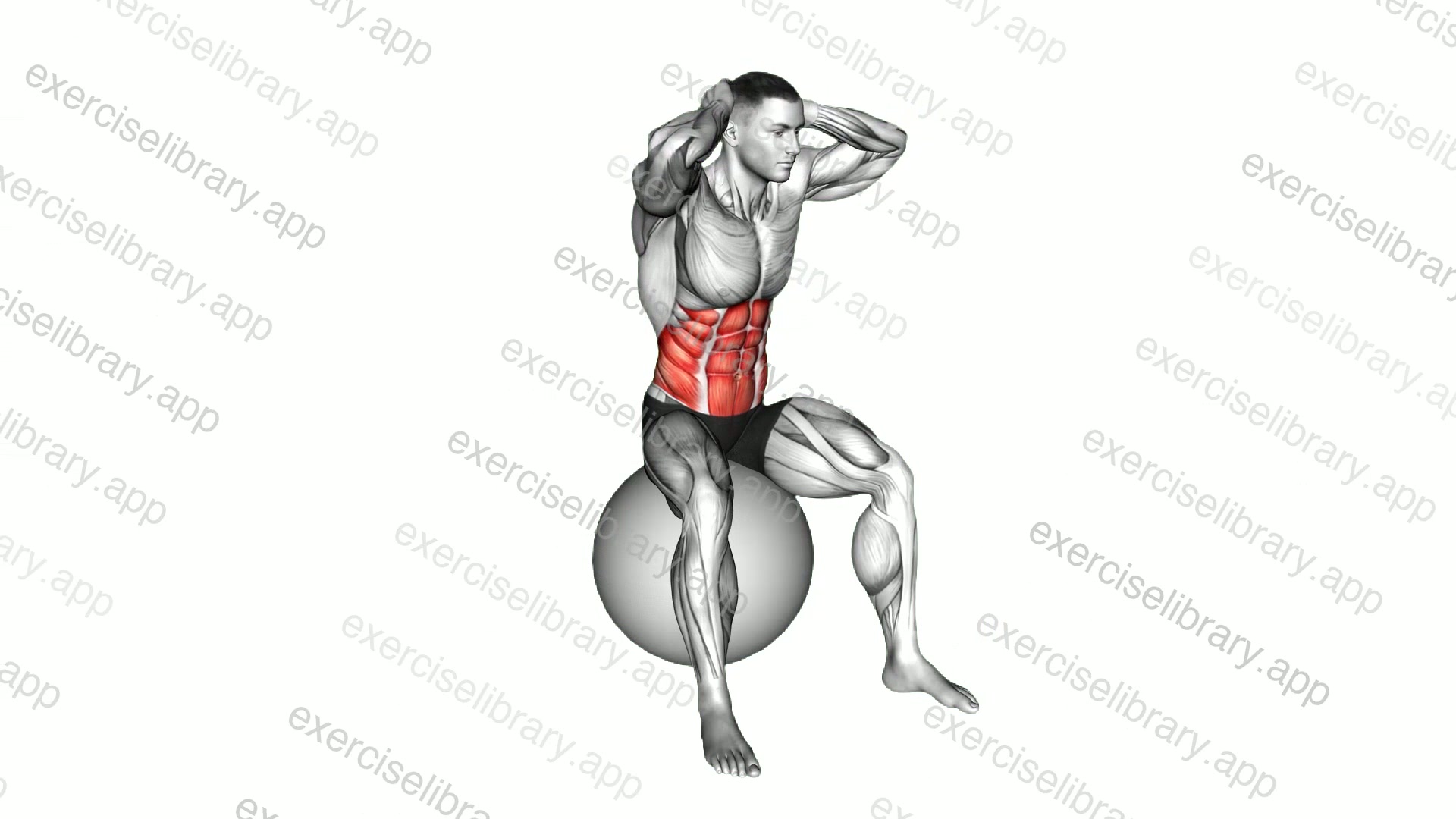 Spinal Stretch demonstration