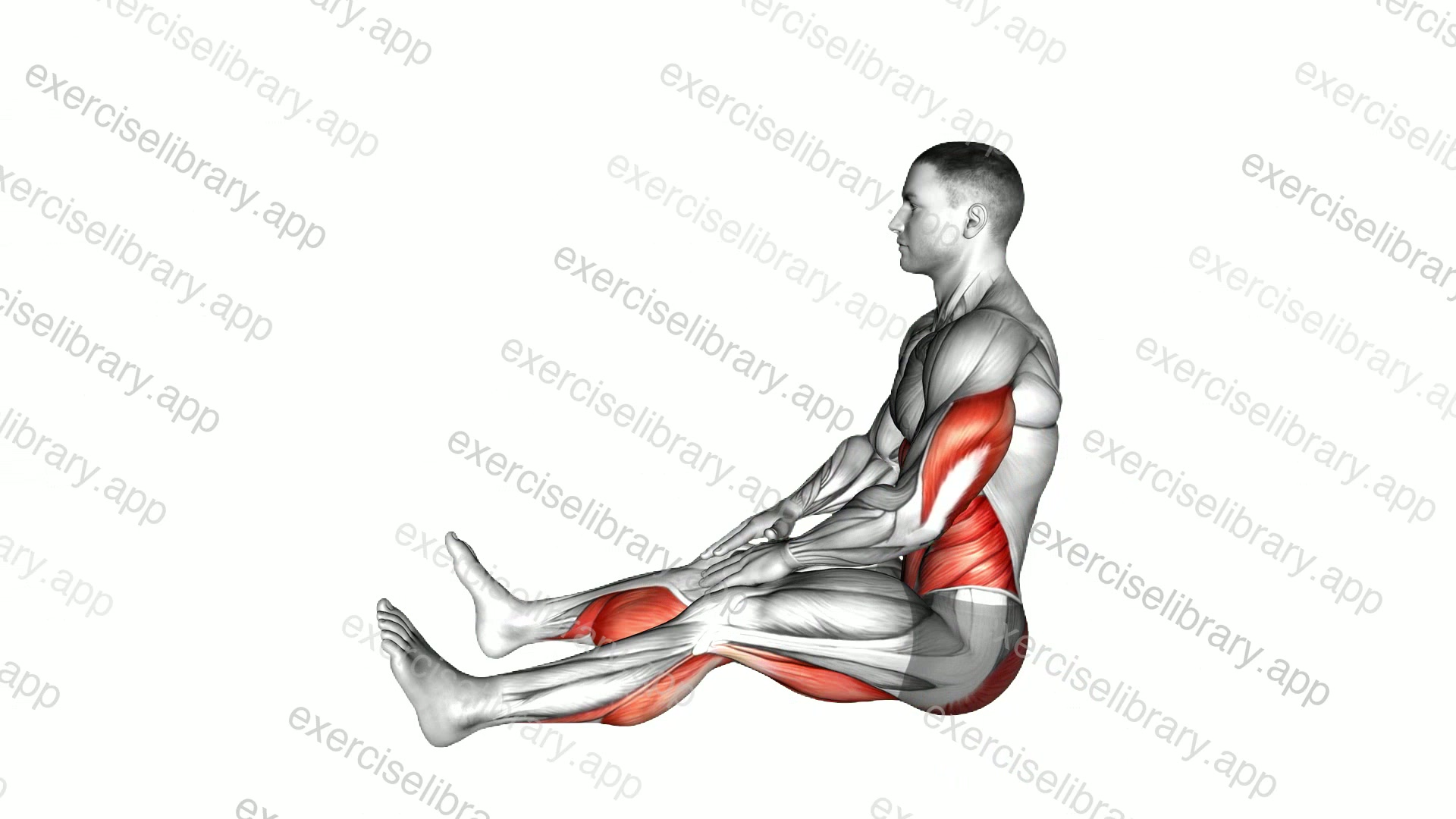 Spine Stretch Forward demonstration