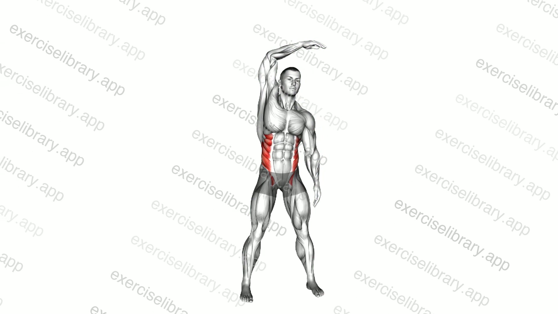 Standing Side Bend demonstration